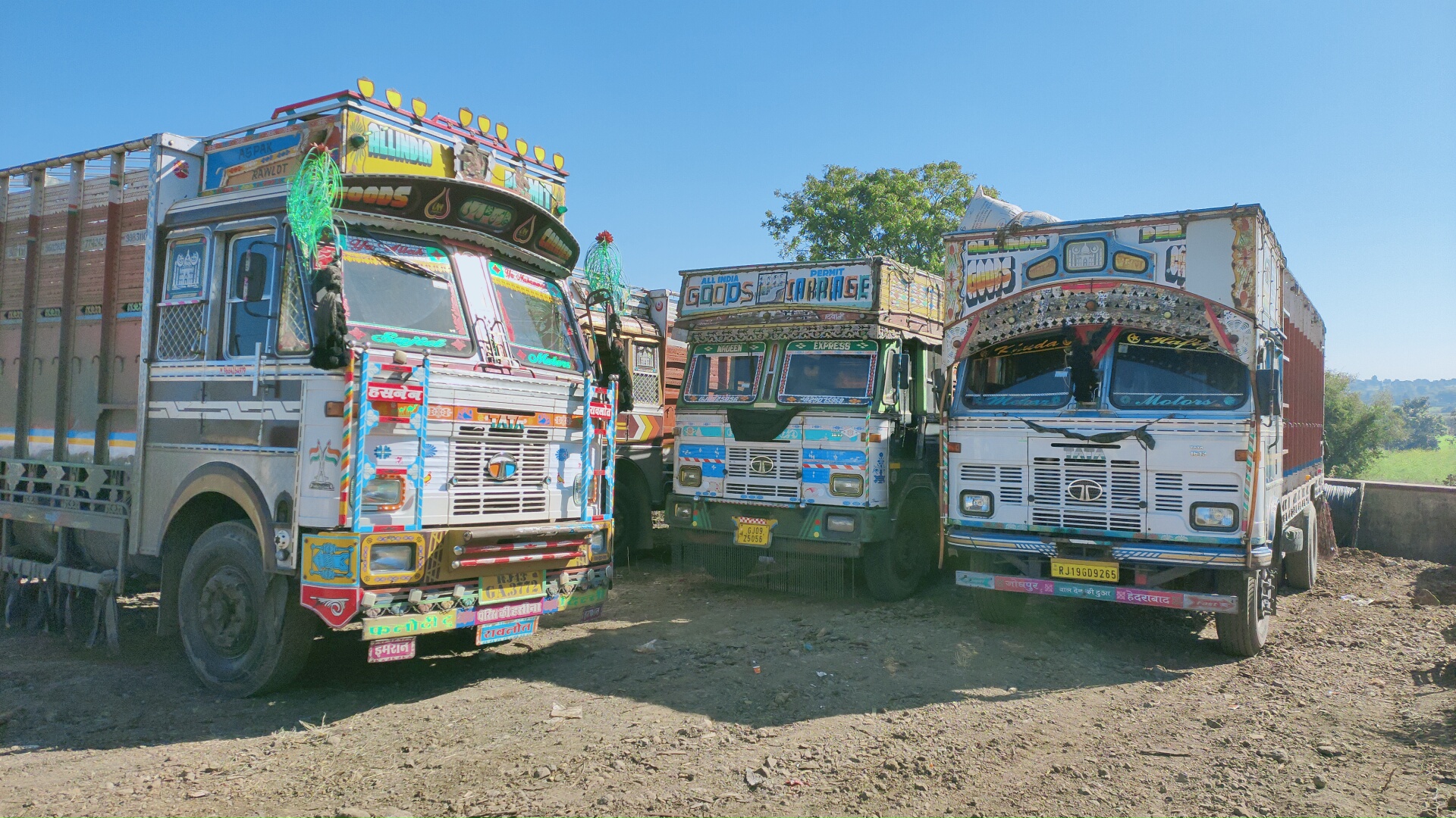 Animal cruelty act, प्रतापगढ़ की ताजा हिंदी खबरें, 13 trucks filled with sheep and goats