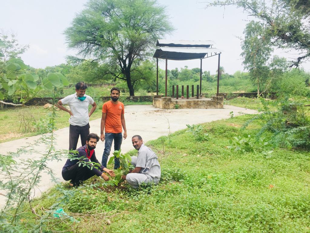 उदयपुर की पहाड़ियों पर ग्रीनरी मिशन