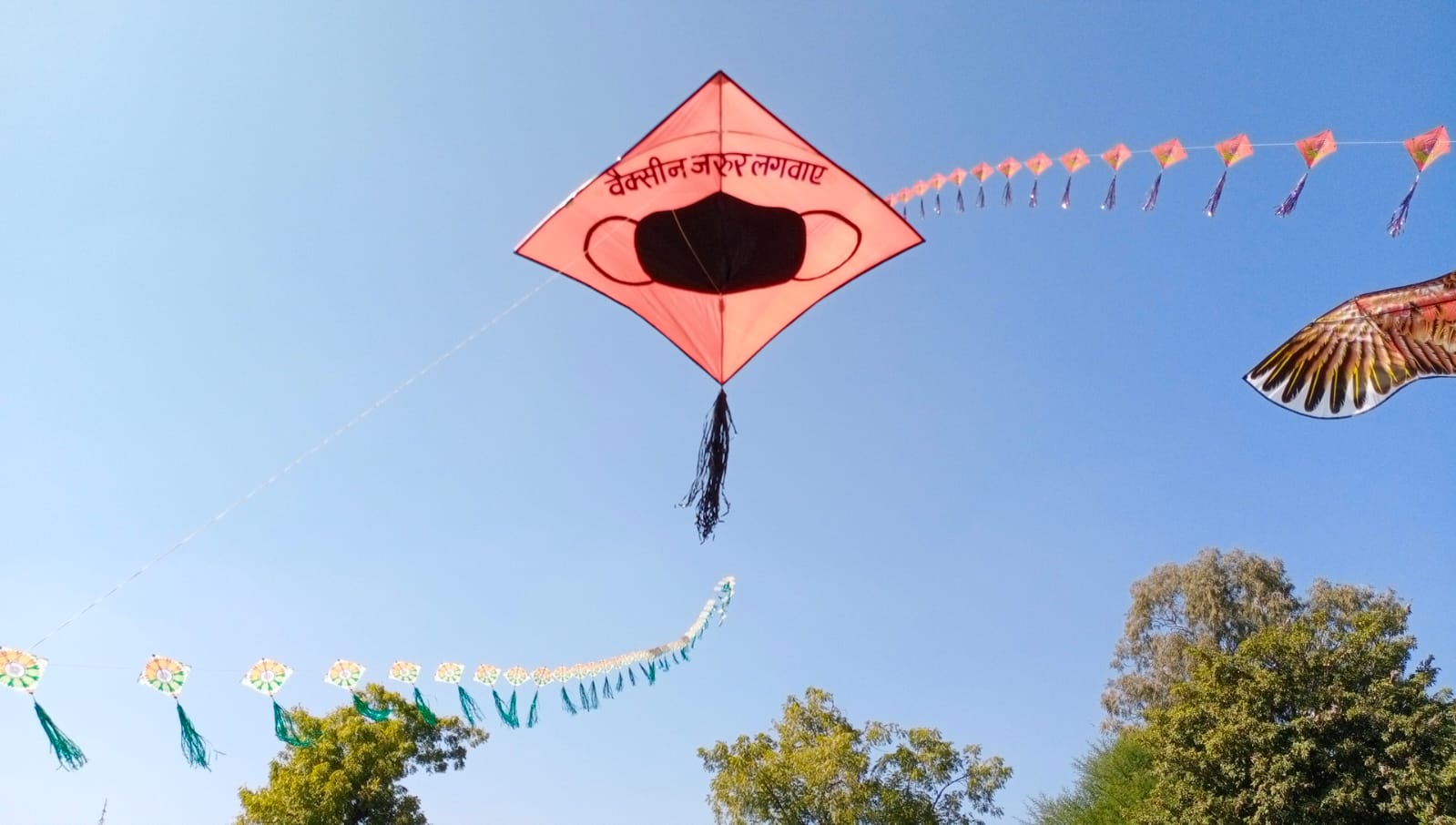 Udaipur youth flies 700 kites