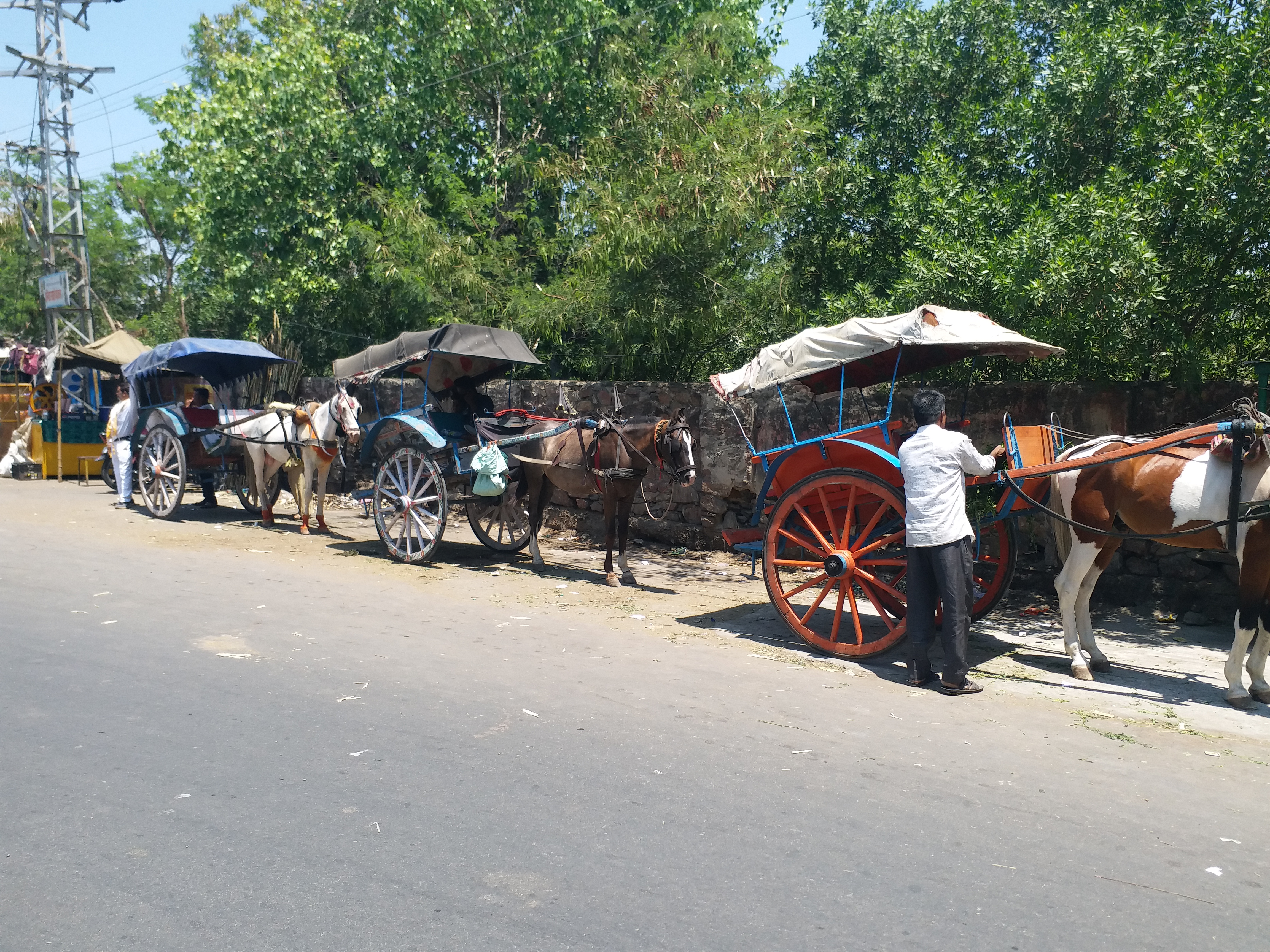 Tanga in Ajmer