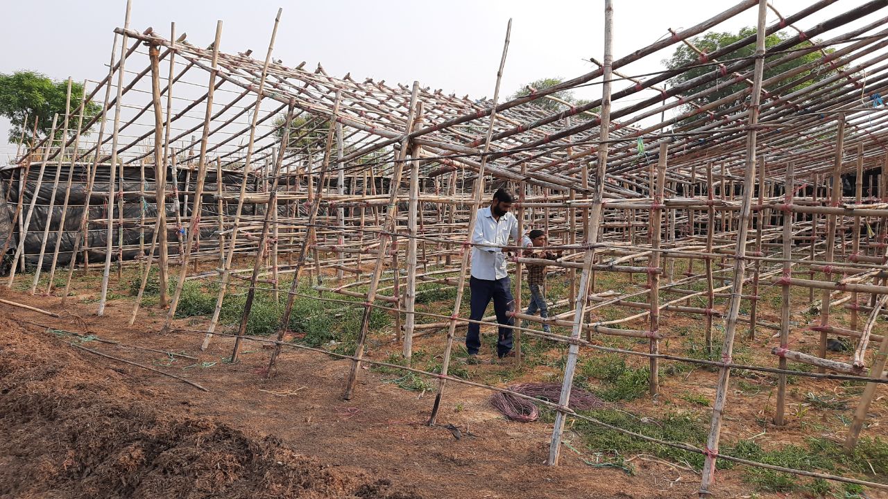 mushroom farming in Alwar