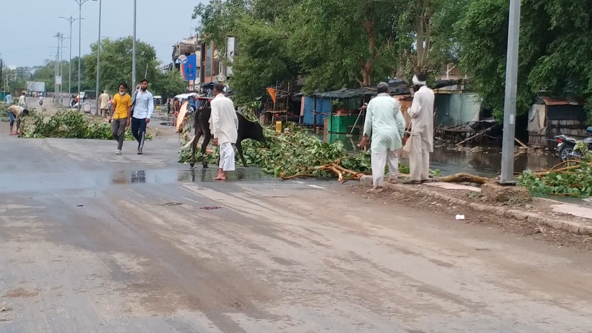 rain in alwar, alwar rain news