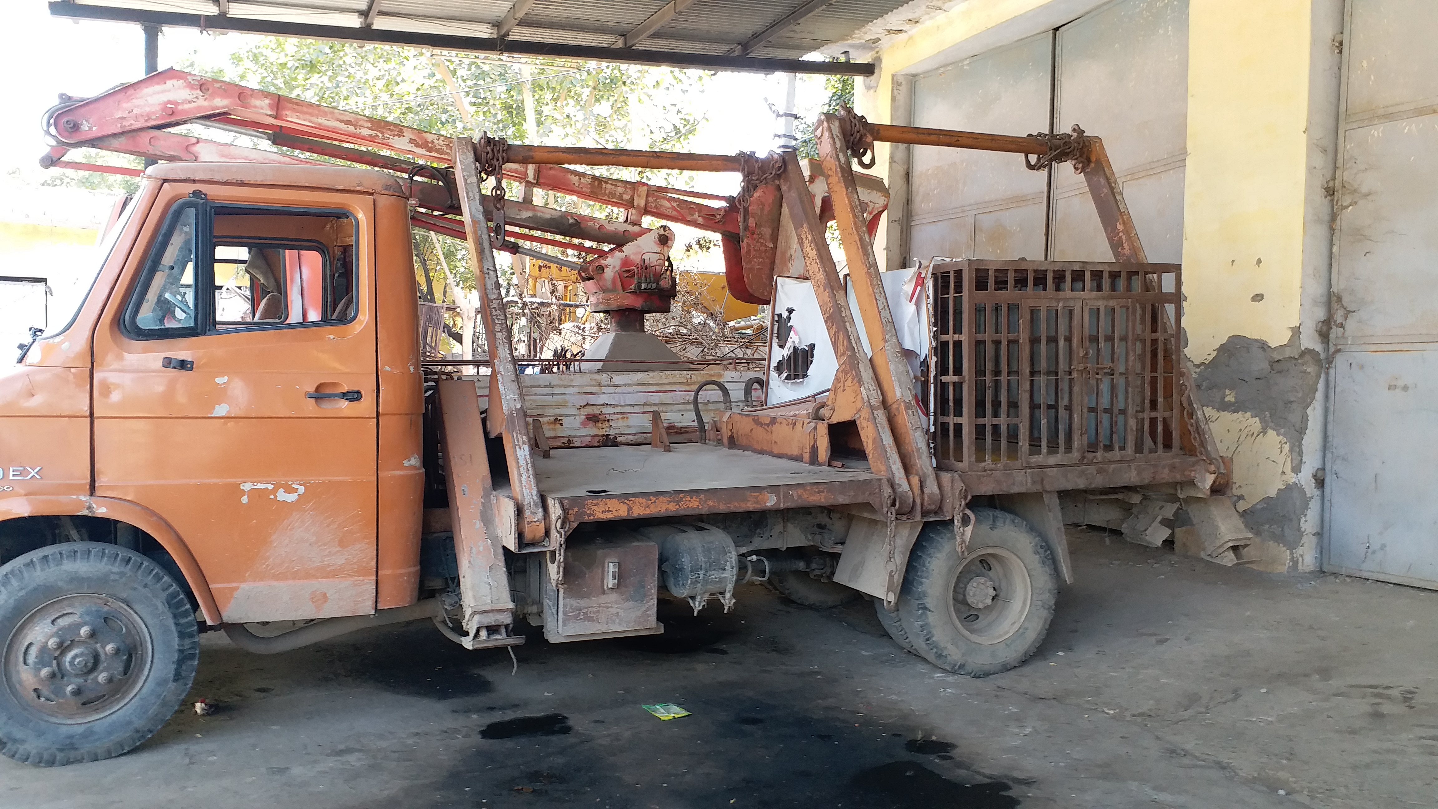 stray dogs in bhilwara, भीलवाड़ा में आवारा श्वान