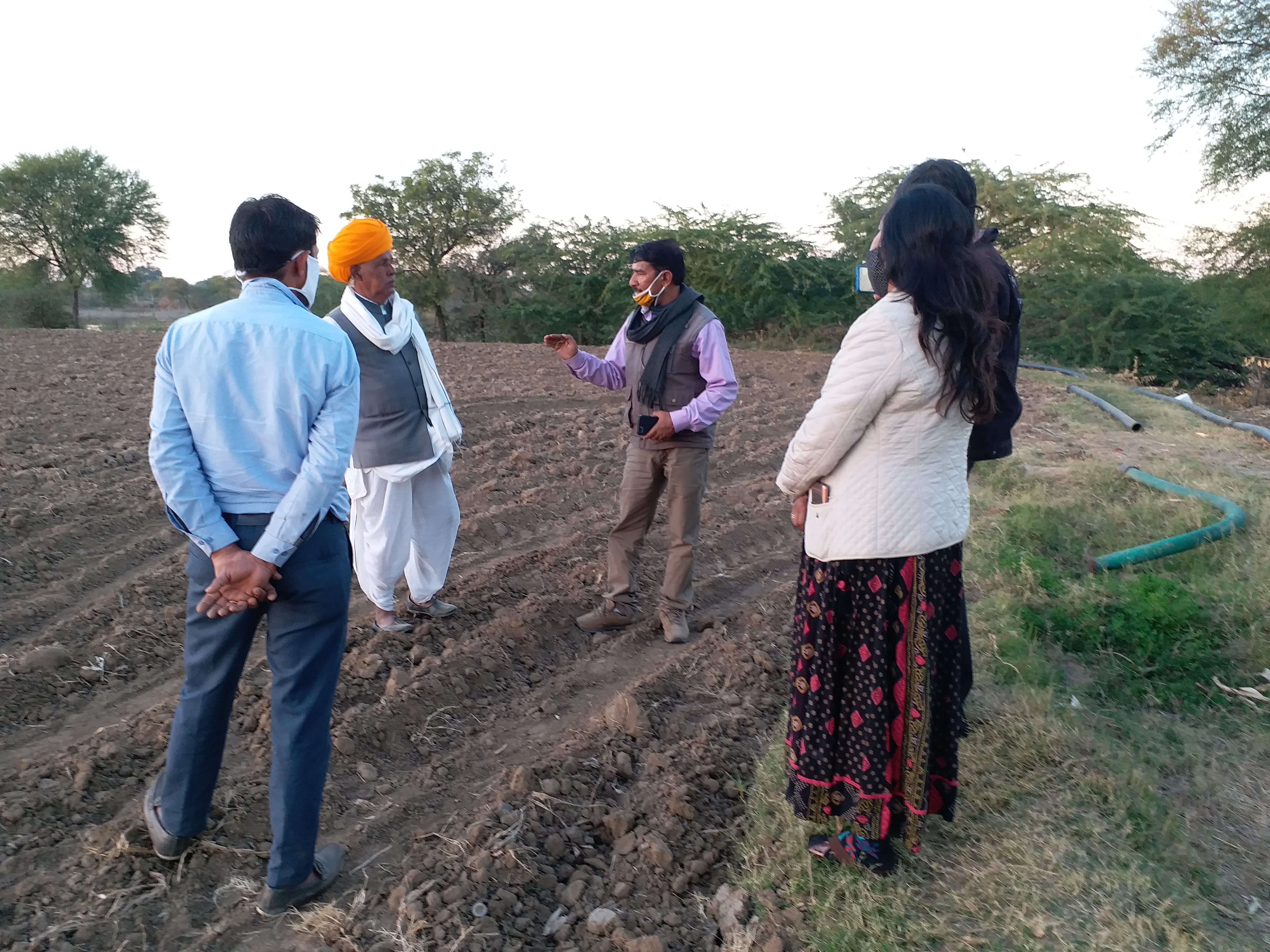 Farmers cultivating turmeric in Bhilwara, ईटीवी भारत की खबर का असर