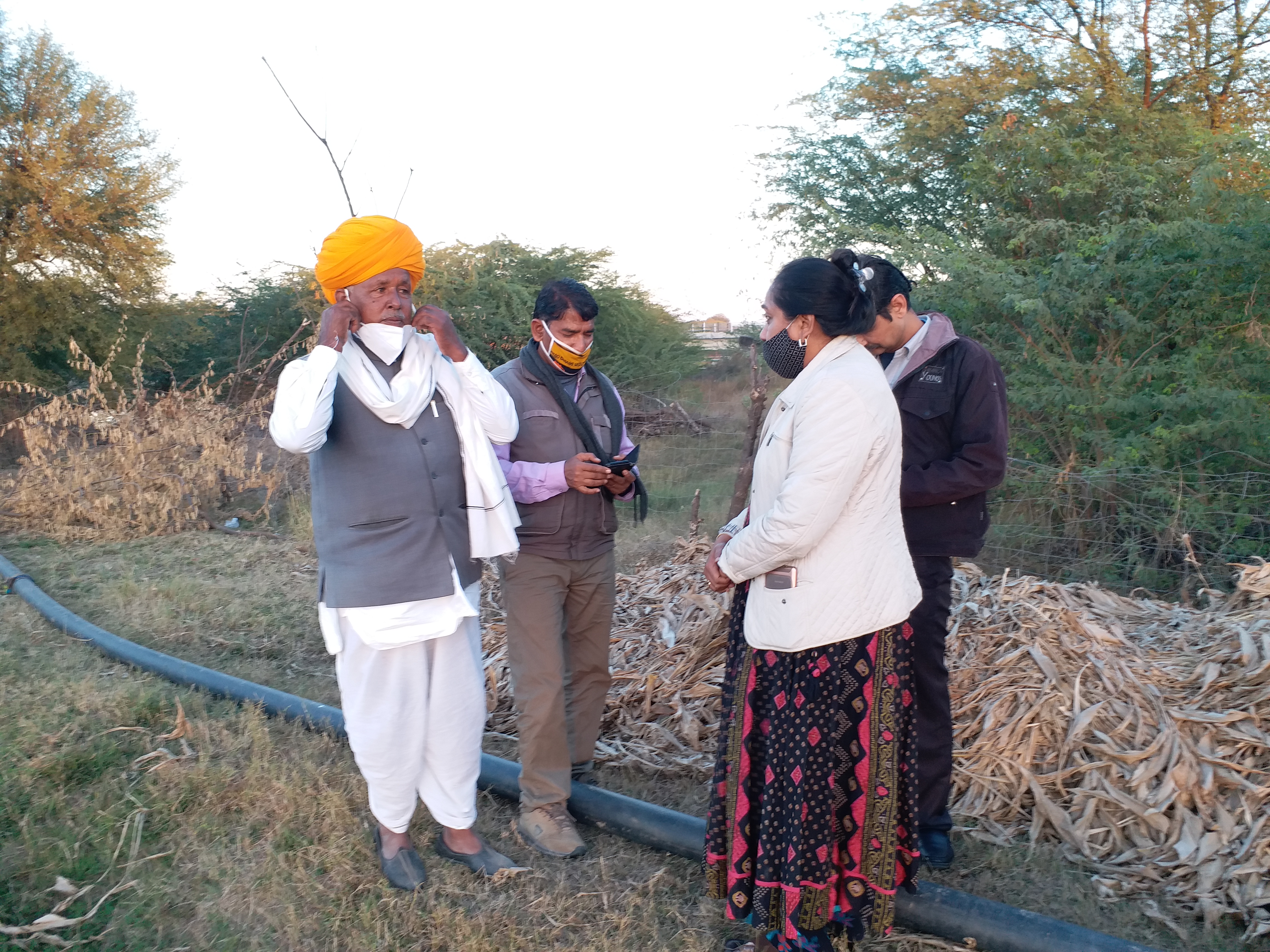 Farmers cultivating turmeric in Bhilwara, ईटीवी भारत की खबर का असर