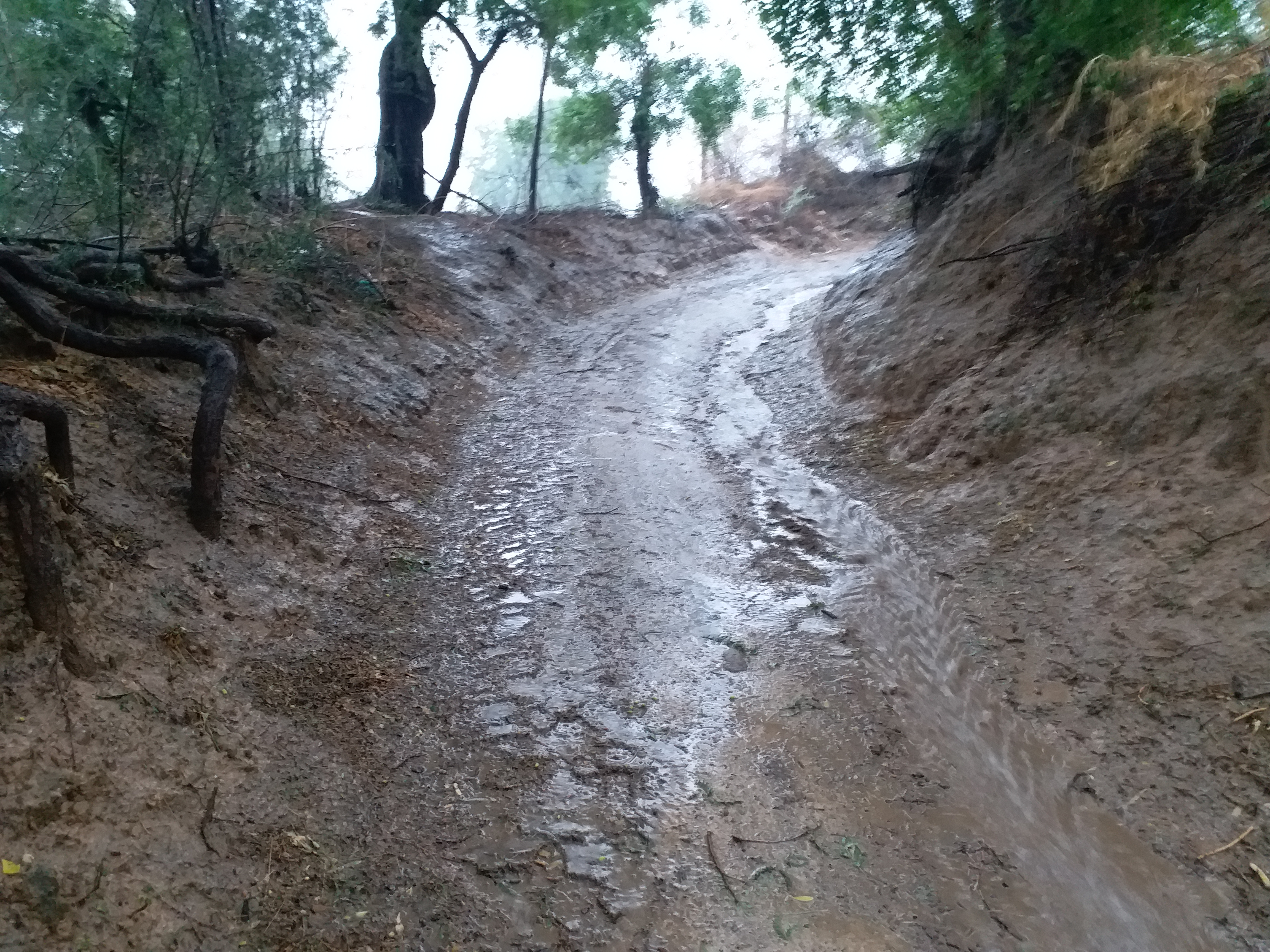 तौकते तूफान ने फसलों को दिया जीवनदान, Torrential rain in Bhilwara due to tauktae storm