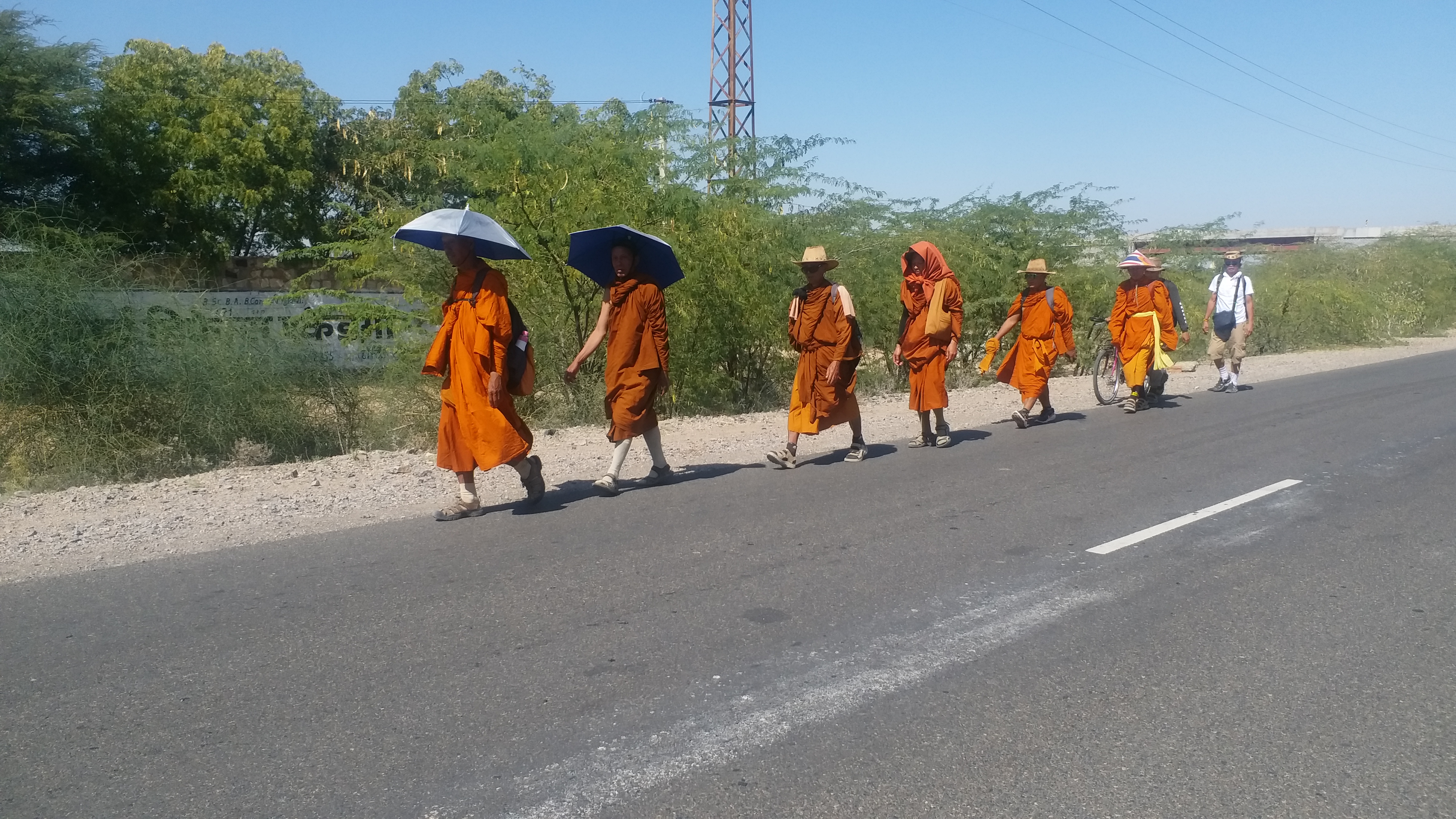 Buddhist monks on a 'padayatra' to promote world peace