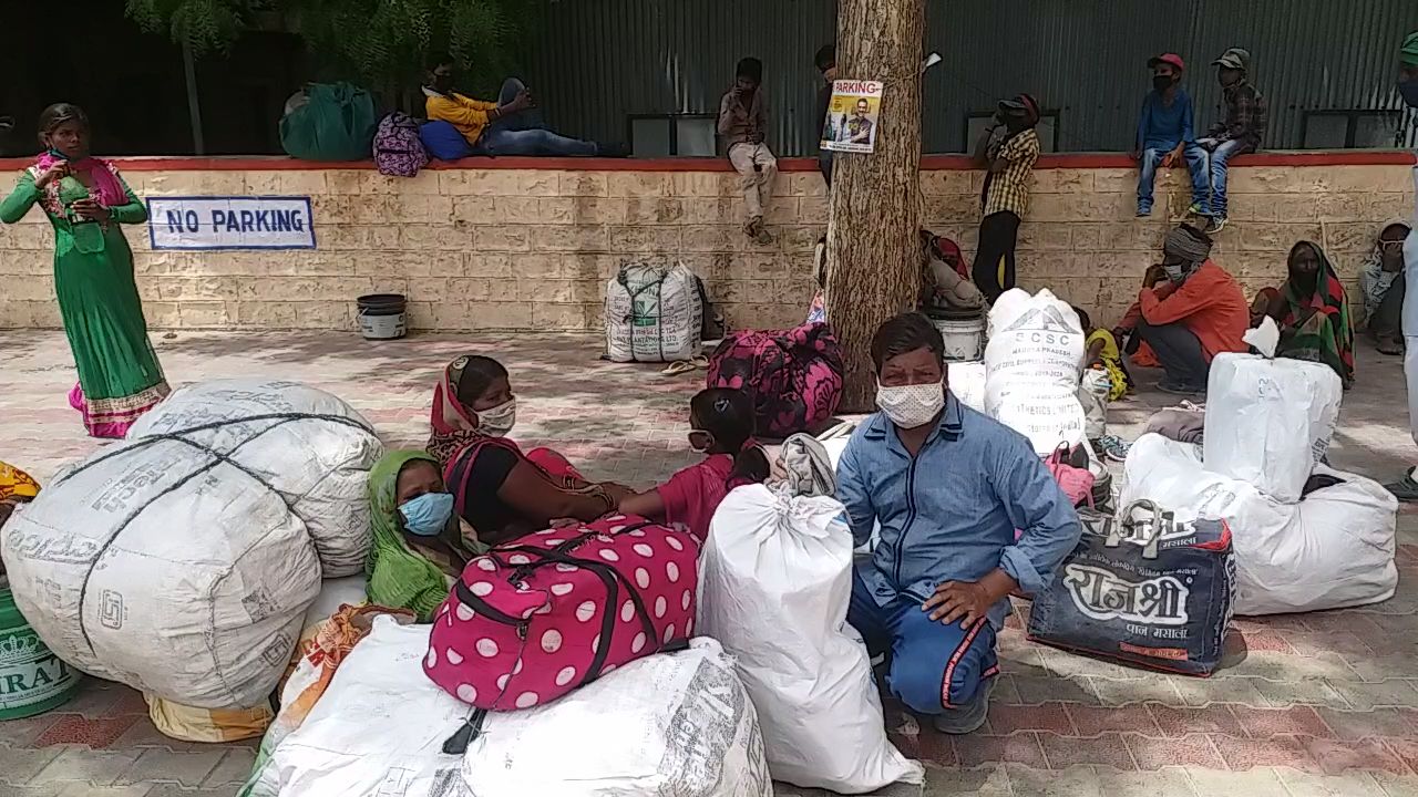 Migrant labor migration from Barmer