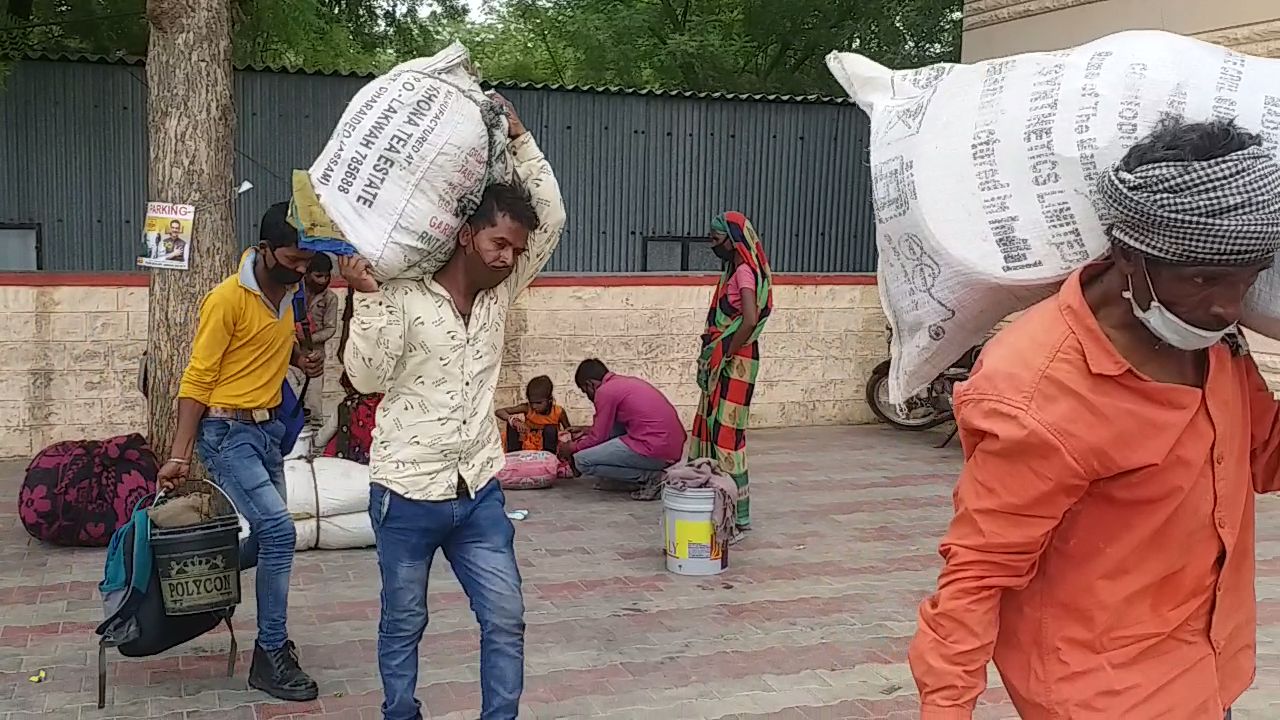 Migrant labor migration from Barmer