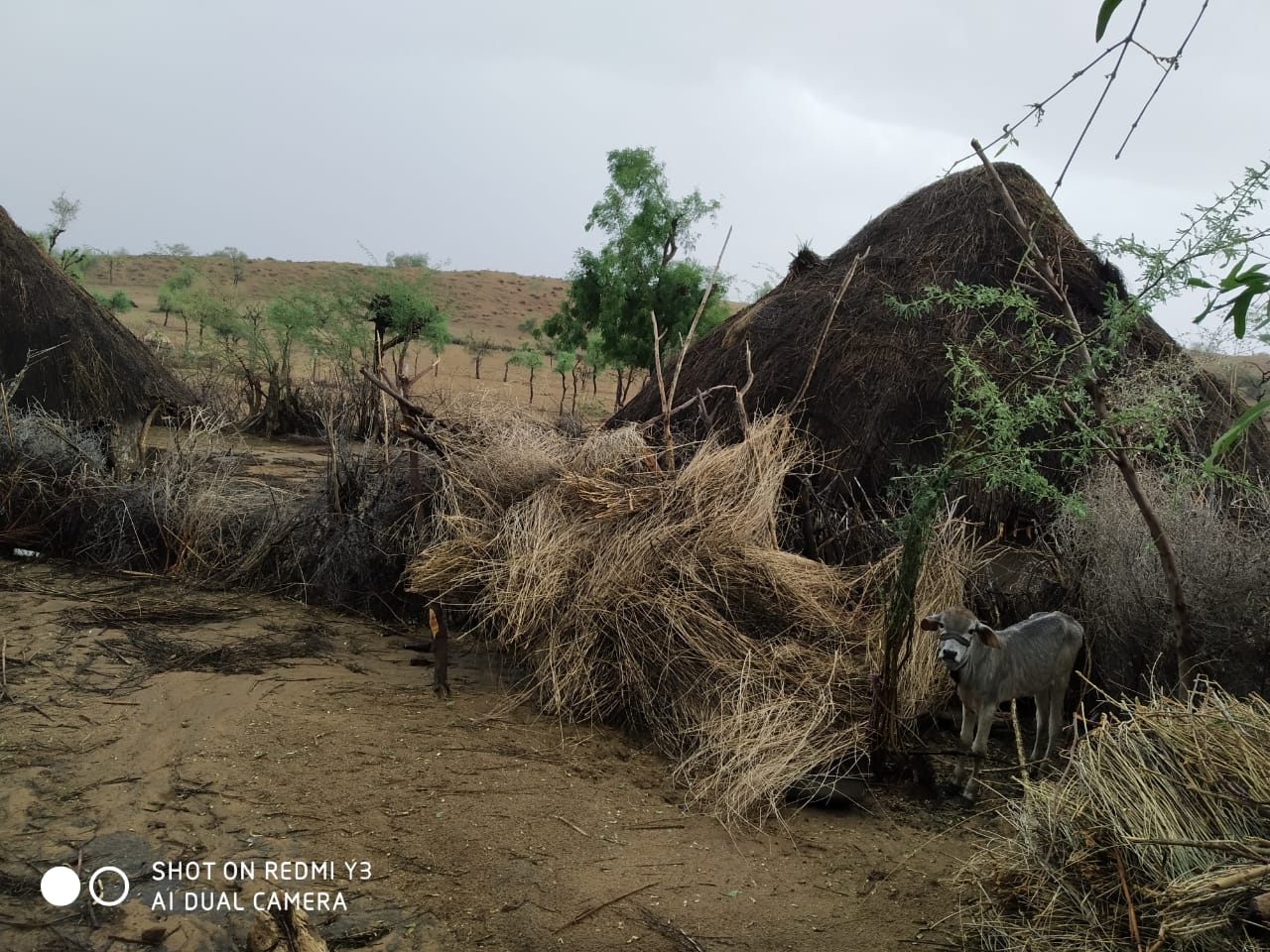 बाड़मेर की खबर, strong storm in barmer