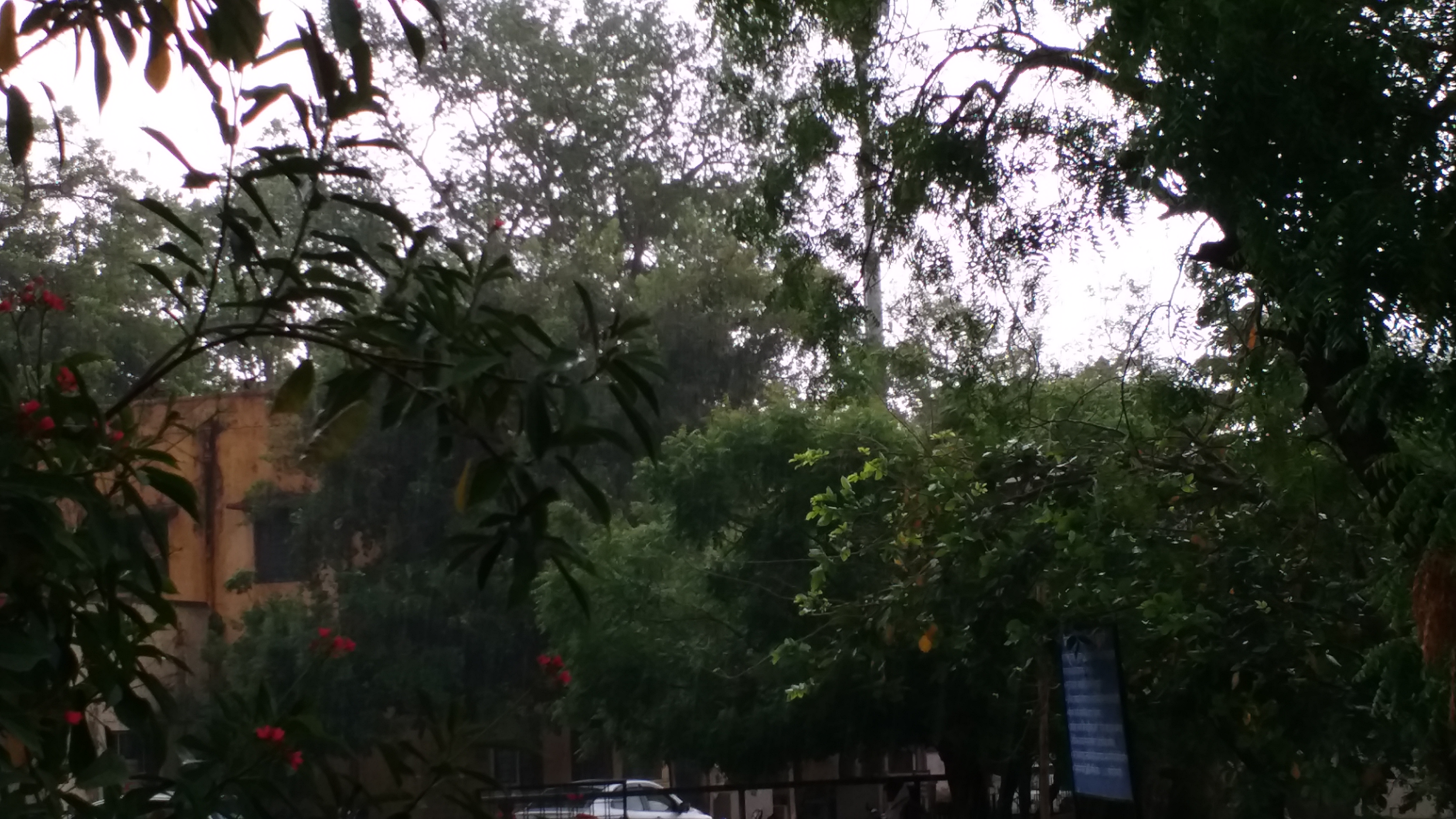 Heavy rain in Bundi, बूंदी में हुई बारिश