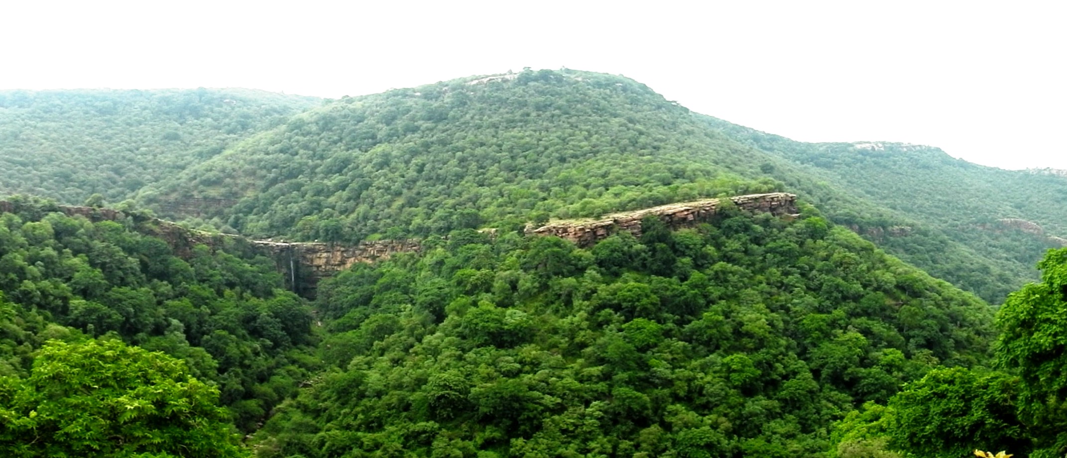 Fourth Tiger Reserve of Rajasthan, Ramgarh Poisonous Wildlife