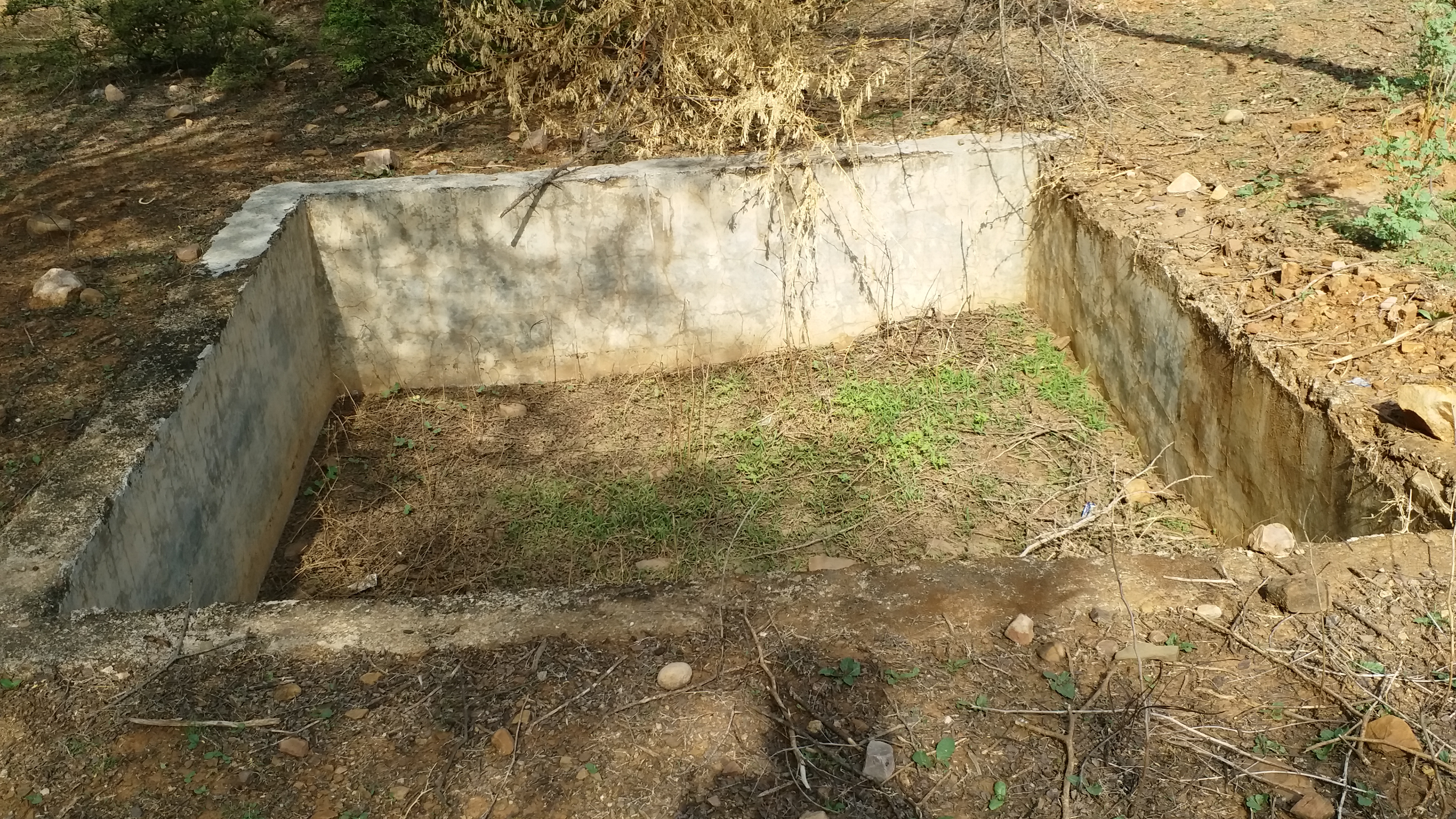 Bundi Forest Department negligence,  Bundi Forest Department