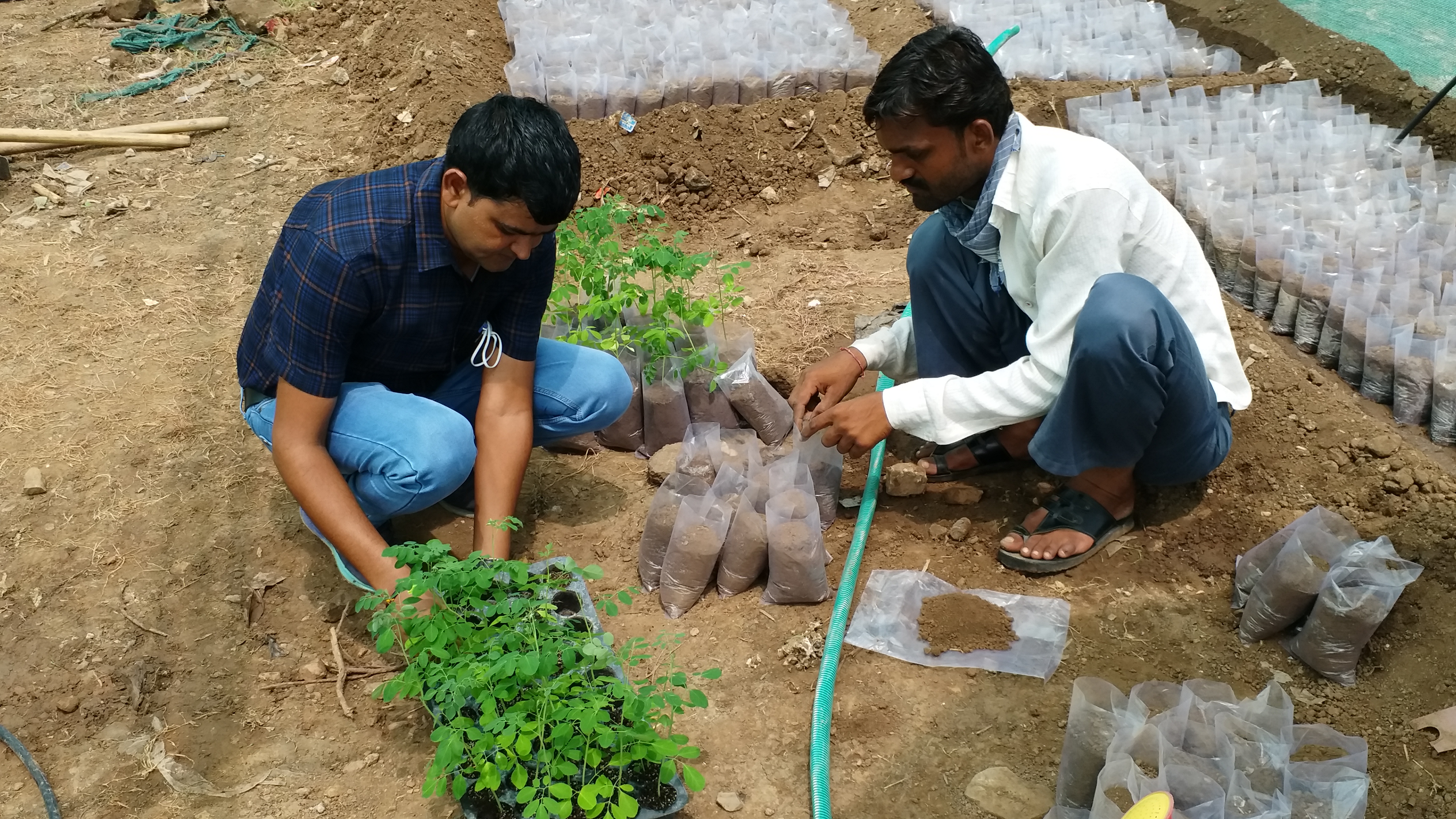 राजस्थान समाचार, राजस्थान का सबसे पहला सब्जी उत्कृष्टता केंद्र, पहला सब्जी उत्कृष्टता केंद्र बूंदी, First Vegetable Excellence Center Bundi, vegetable center of excellence is ready in bundi