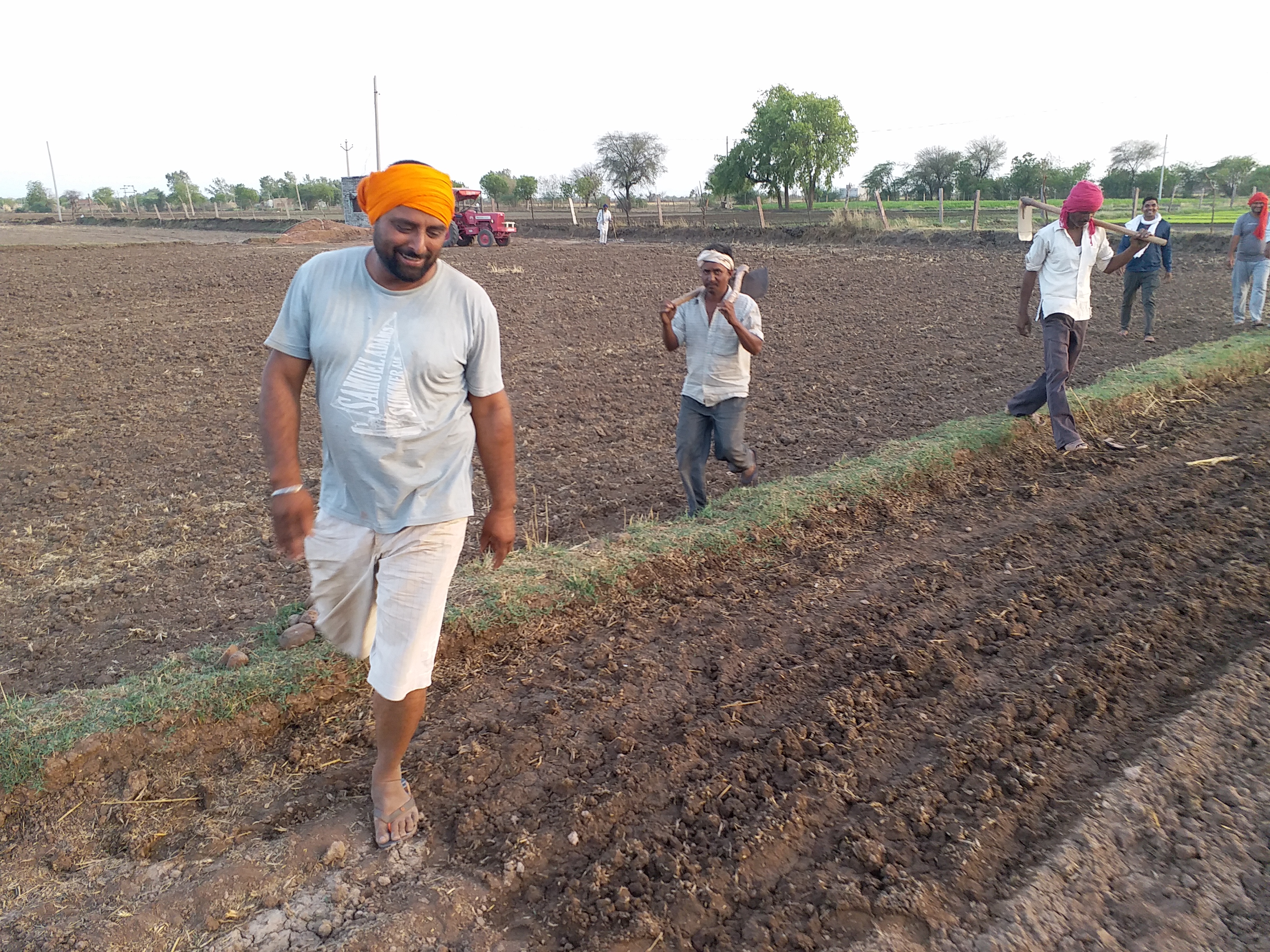 लॉकडाउन का असर , धान फसल की रोपाई,  Bundi News,  Transplanting of Paddy