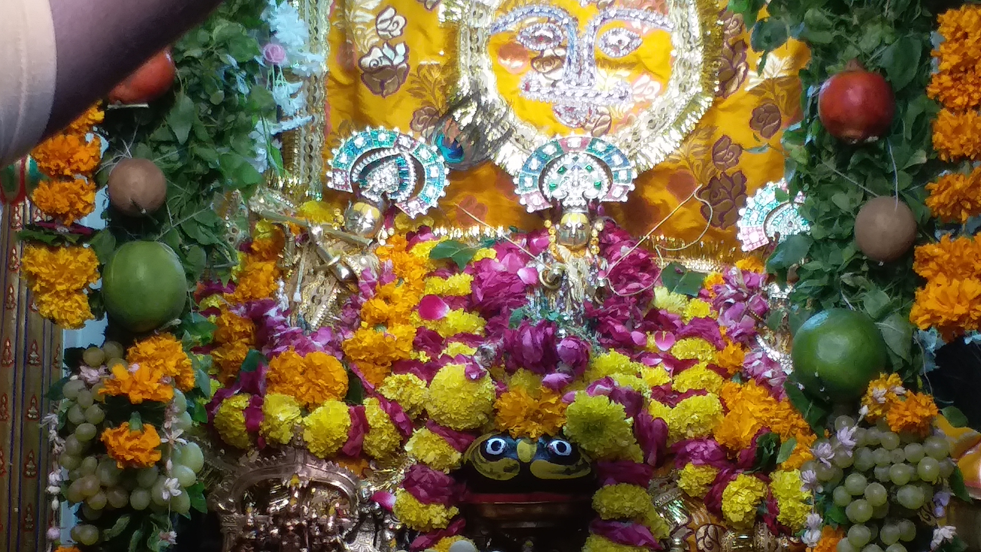 Bikaner Raghunath Temple Ram Krishna Statues