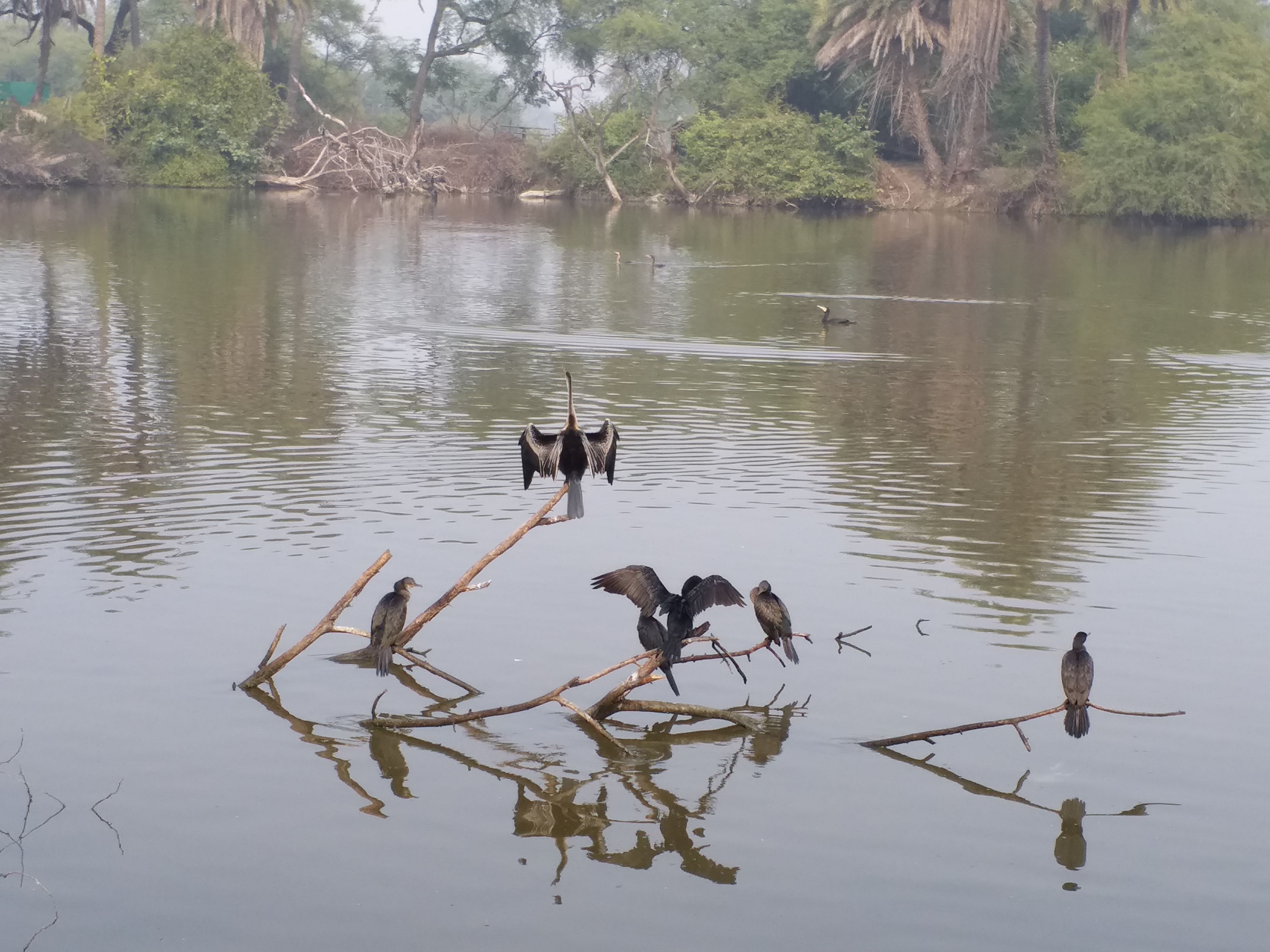 Ghana National Park Bharatpur, Campaign to collect plastic waste