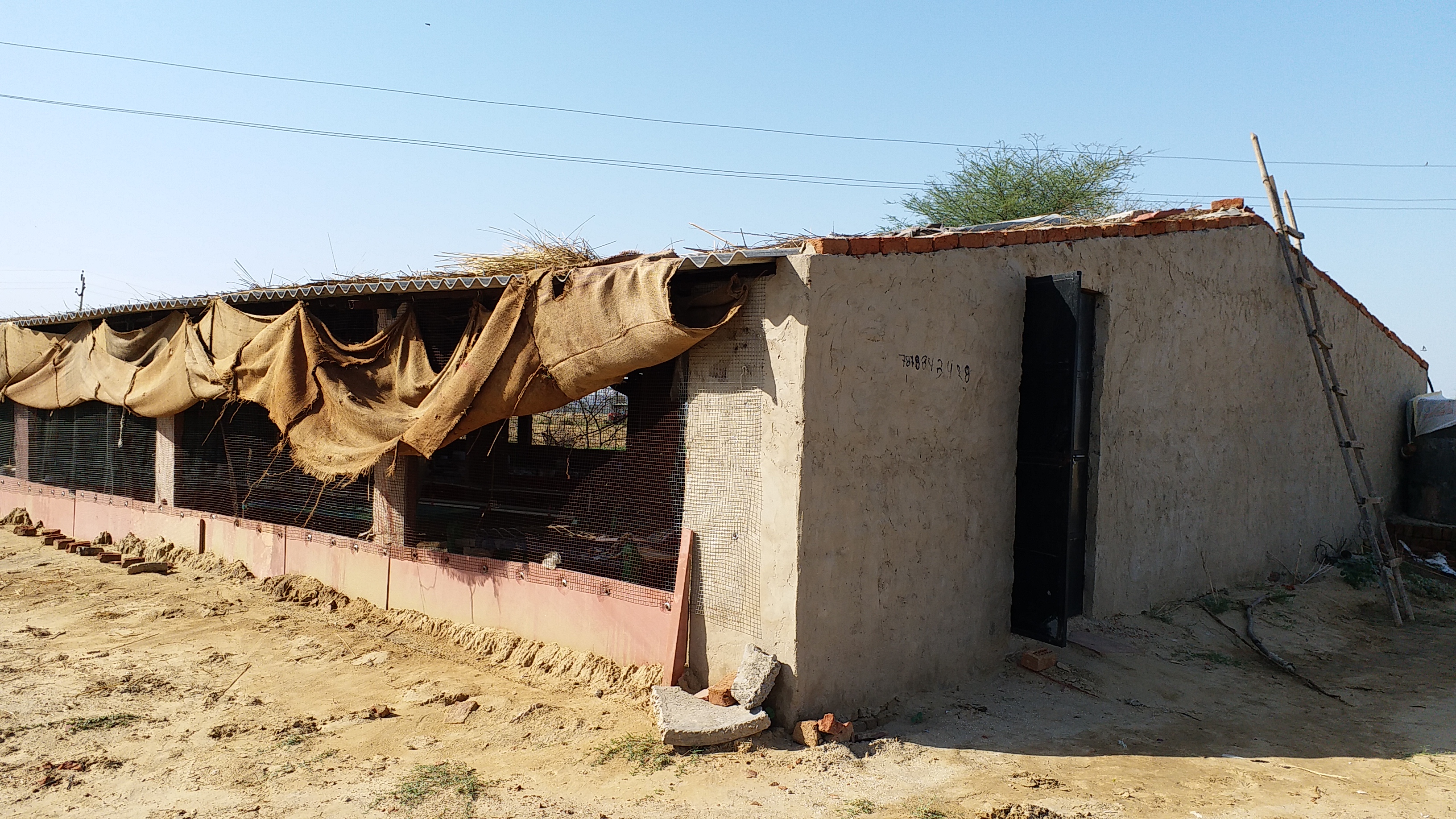 poultry-farm, कुक्कुट फार्म