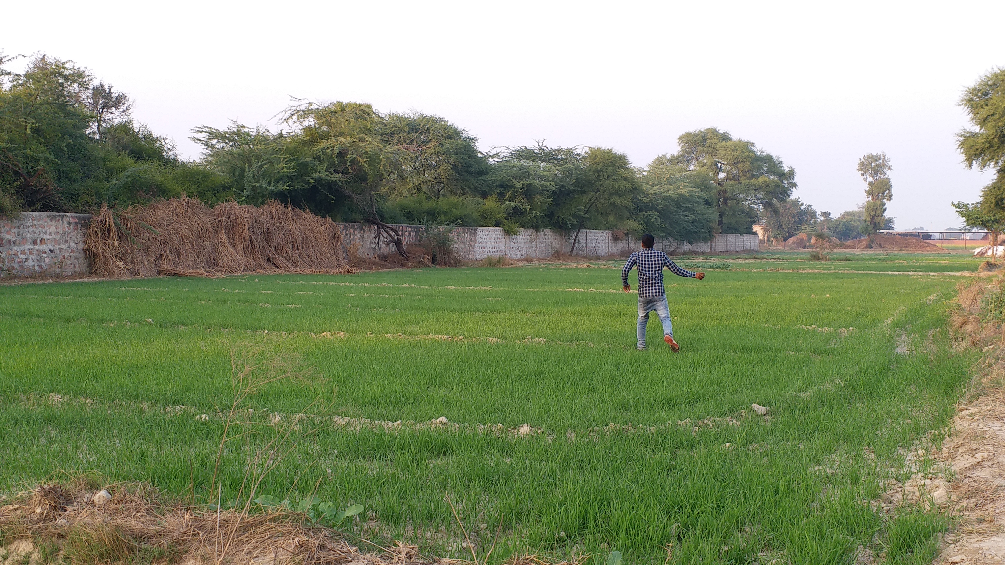 Farmers Wildlife ghana National Park Bharatpur, Bharatpur farmer news, Keoladeo National Park of Bharatpur, Keoladeo Sanctuary Bharatpur,Bharatpur Keoladeo Ghana, केवलादेव घना खबर भरतपुर, केवलादेव वन्यजीव किसान भरतपुर