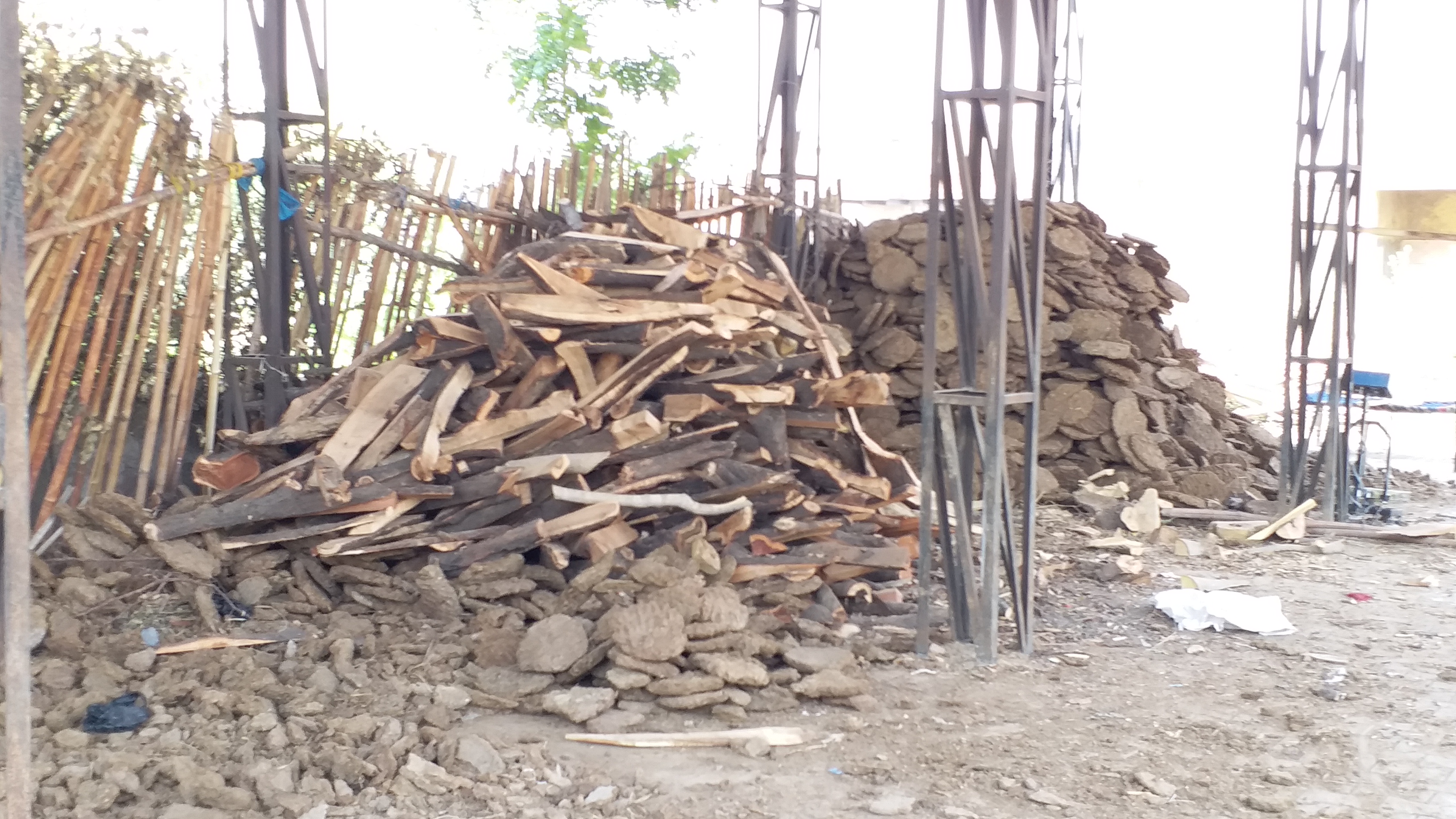 Prices of wood increased during the Corona period