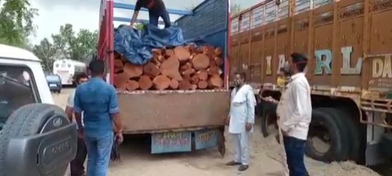 illegal kher wood, kher wood seized