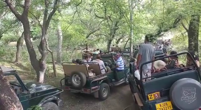 Park excursion in Ranthambore, रणथंभौर में पार्क भ्रमण