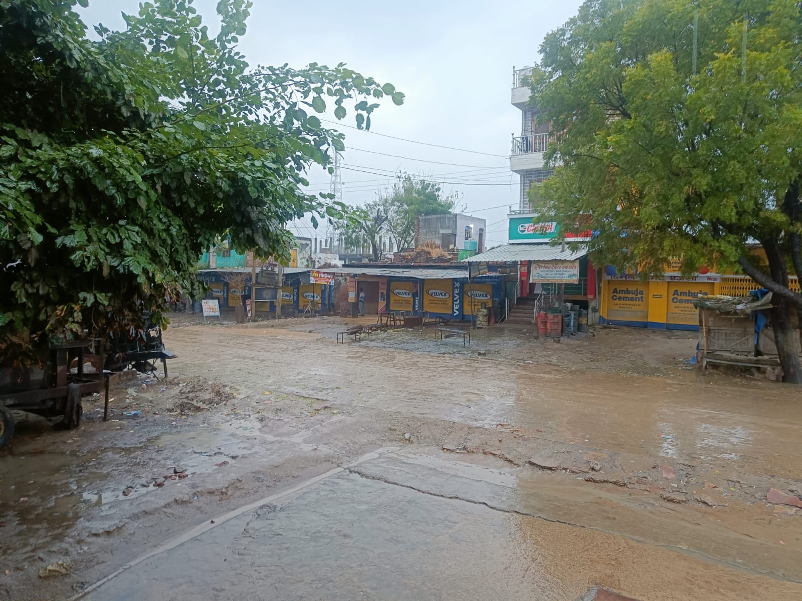 Rajasthan Weather Forecast