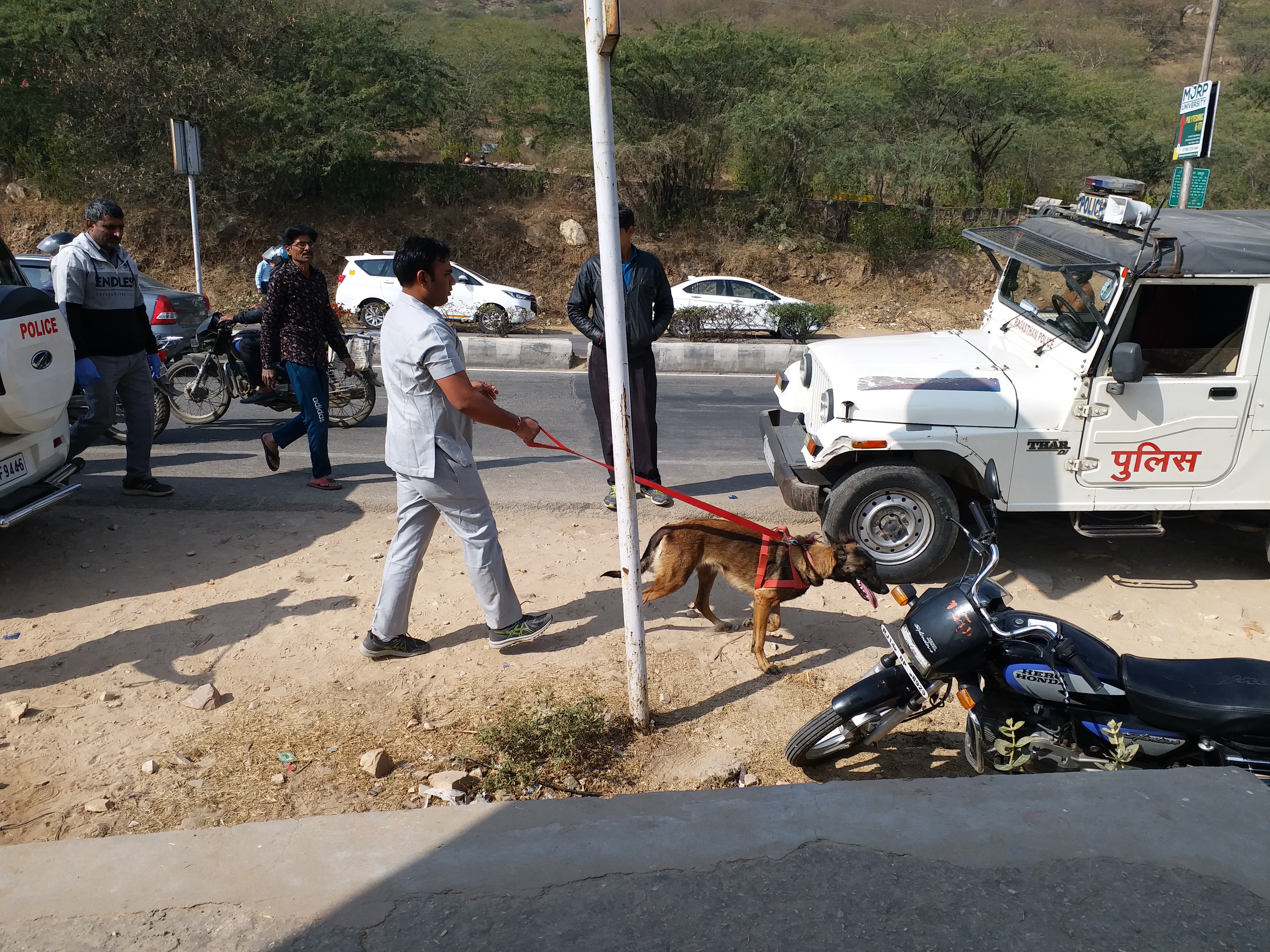 Suspected young woman's body found in Jaipur