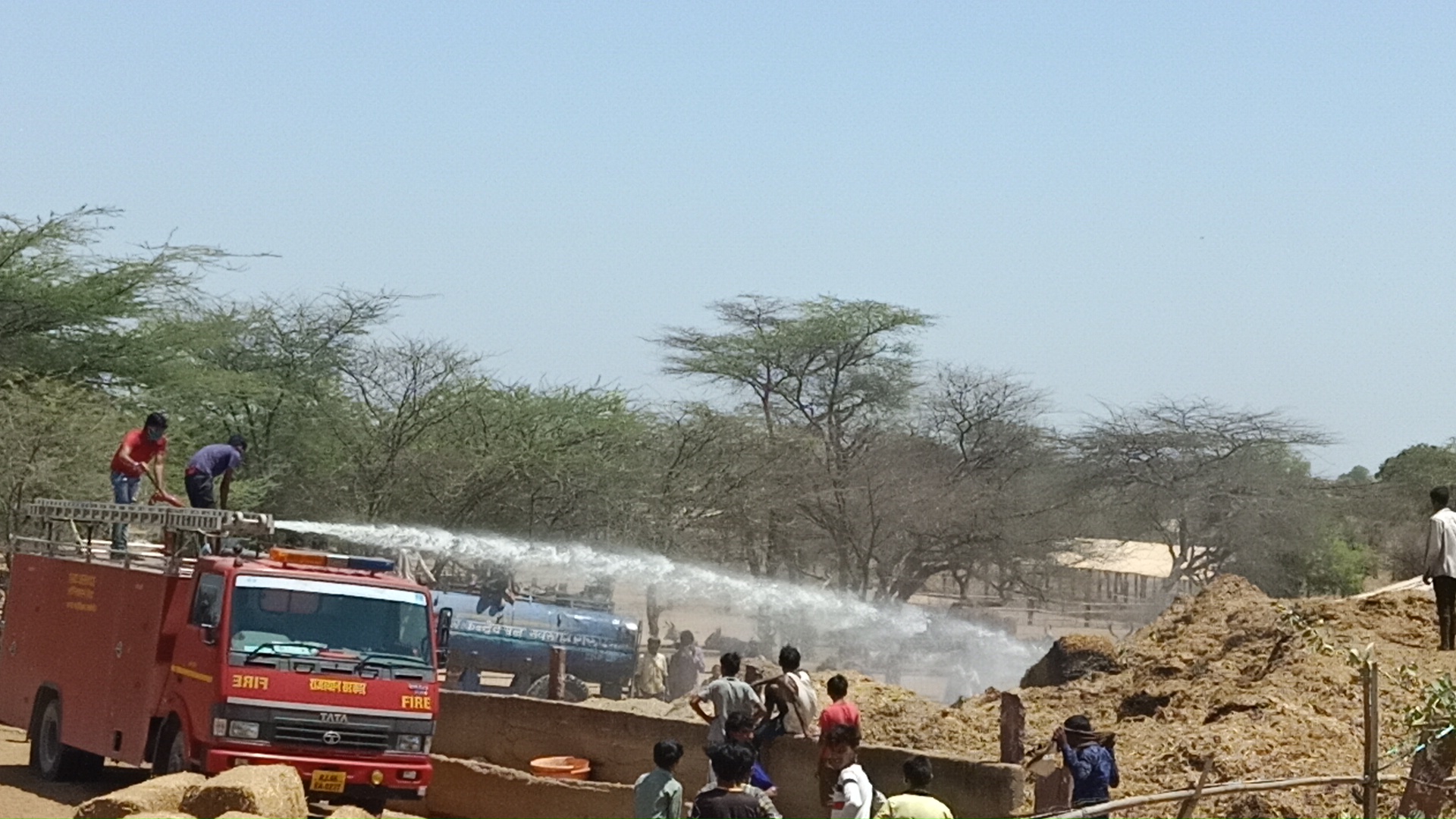 जालोर की खबर,fire in cowshed