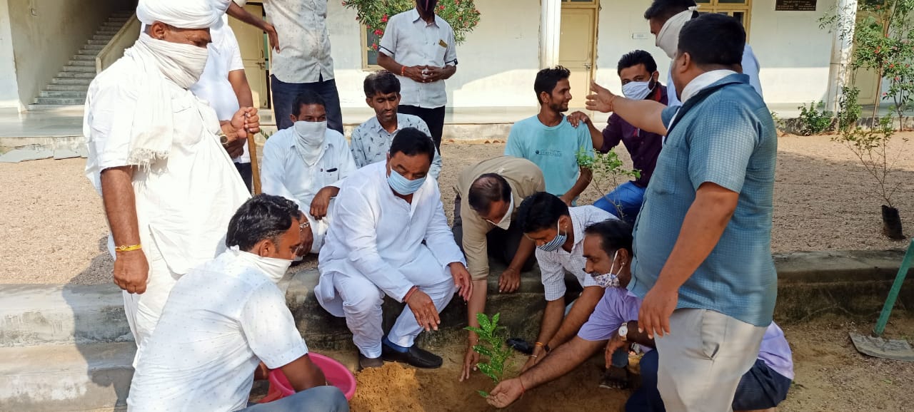 पौधारोपण कार्यक्रम का हुआ आयोजन,  Plantation program organized