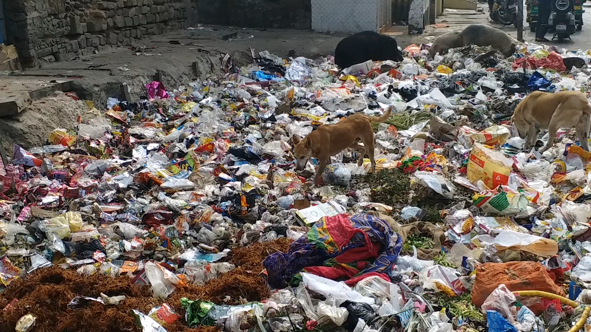 जयपुर शहर सफाई व्यवस्था बीवीजी कंपनी