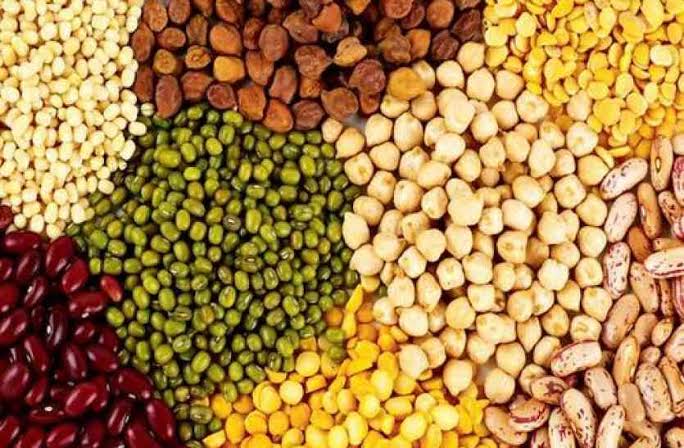 जयपुर न्यूज, Announcement of stock of pulses