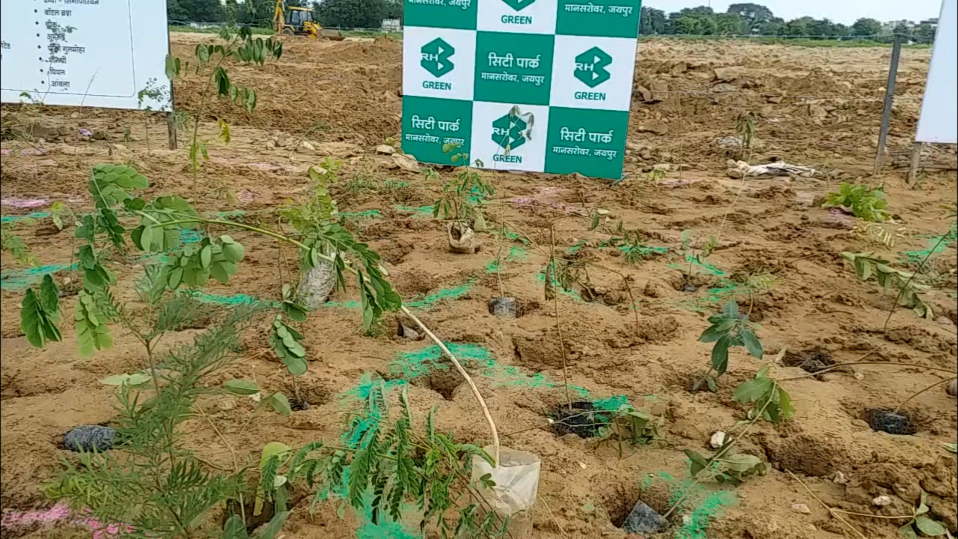 City Park of Jaipur,  City Park being decorated by Miyawaki system