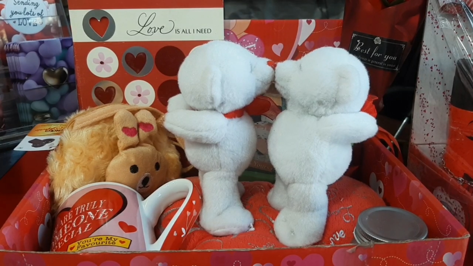 Teddy Day 2023