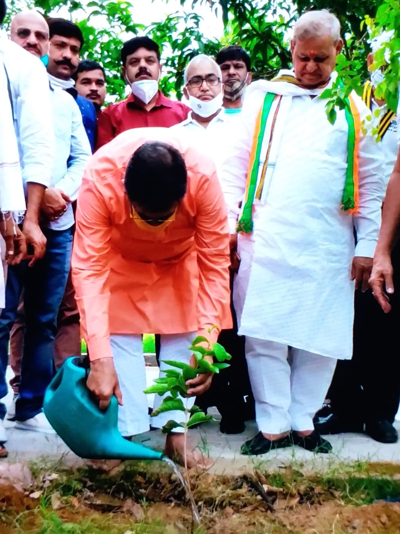 पौधरोपण अभियान का शुभारंभ, Plantation campaign launched