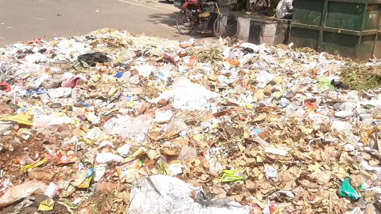 Garbage Dump in Jaipur