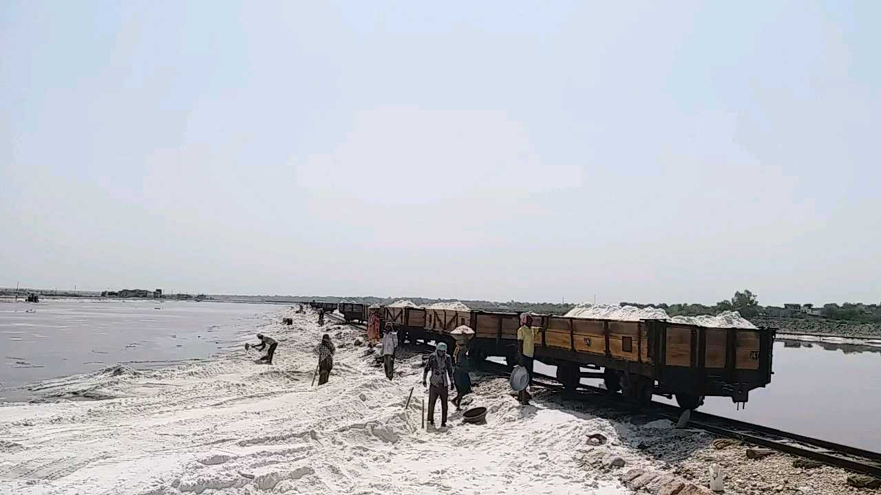 Sambhar Lake Salt Train, salt transport train jaipur to sambhar lake