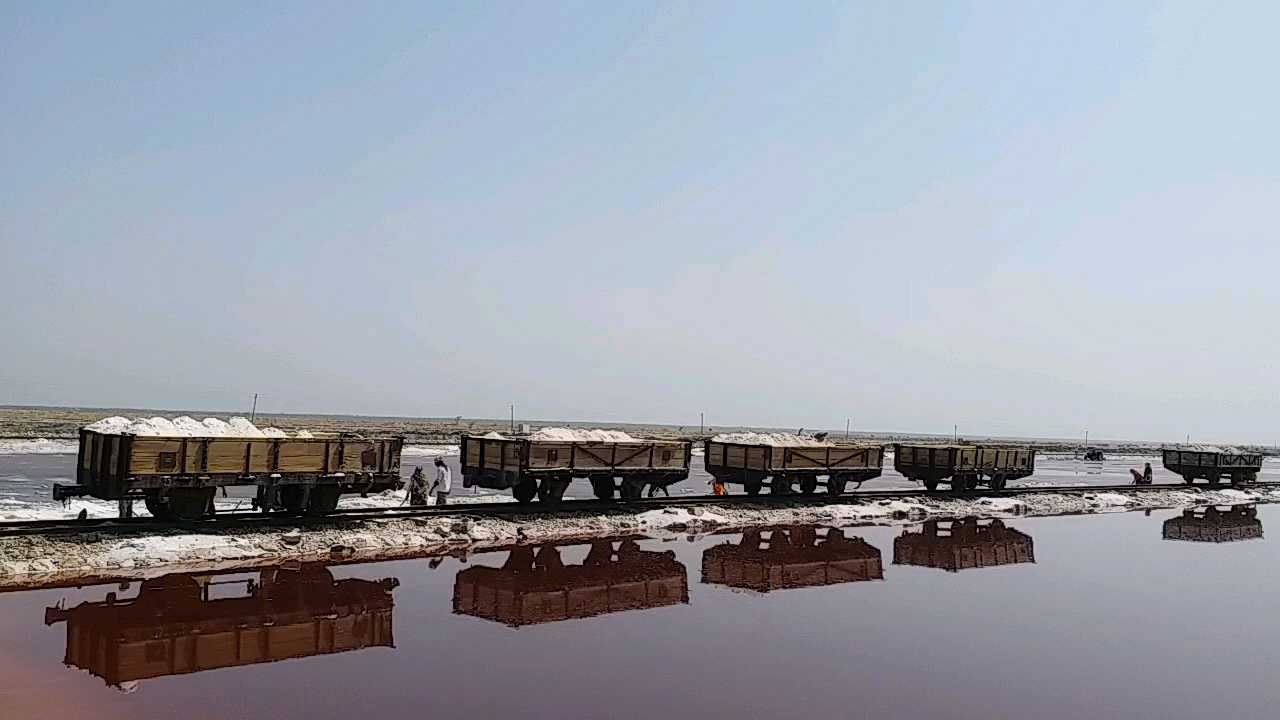 Sambhar Lake Salt Train, salt transport train jaipur to sambhar lake