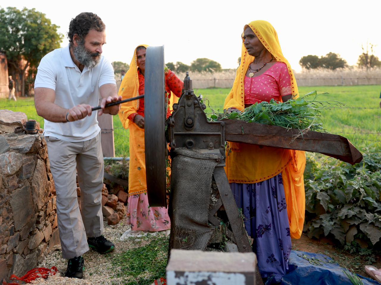 Rahul Gandhi reached Dalit farmer house  Rahul Gandhi cut fodder with kutti machine  Rahul Gandhi in Dausa  Rahul Gandhi met boxer sweety bora  Rahul met kabaddi player Deepak ram  ಭಾರತ್​ ಜೋಡೋ ಯಾತ್ರೆ  ಕೀಡಾಪಟುಗಳ ಜೊತೆ ಚರ್ಚೆ ಮಾಡಿದ ರಾಗಾ  ರಾಹುಲ್​ ಗಾಂಧಿ ರಾಜ್ಯದ ಕ್ರೀಡಾ ಪಟುಗಳನ್ನು ಭೇಟಿ  ಸರ್ಕಾರದ ಯೋಜನೆಗಳ ಬಗ್ಗೆ ರೈತರಿಗೆ ರಾಹುಲ್​ ಗಾಂಧಿ ಮಾಹಿತಿ  ಪ್ರಾಣಿಗಳಿಗೆ ಮೇವು ಕಟ್​ ಮಾಡಿ ನೀಡಿದ ರಾಗಾ  ದಲಿತ ಕುಟುಂಬಸ್ಥರ ಮನೆಯಲ್ಲಿ ಉಪಹಾರ ಸೇವನೆ  ಕೀಡಾಪಟುಗಳ ಜೊತೆ ರಾಹುಲ್​ ಚರ್ಚೆ