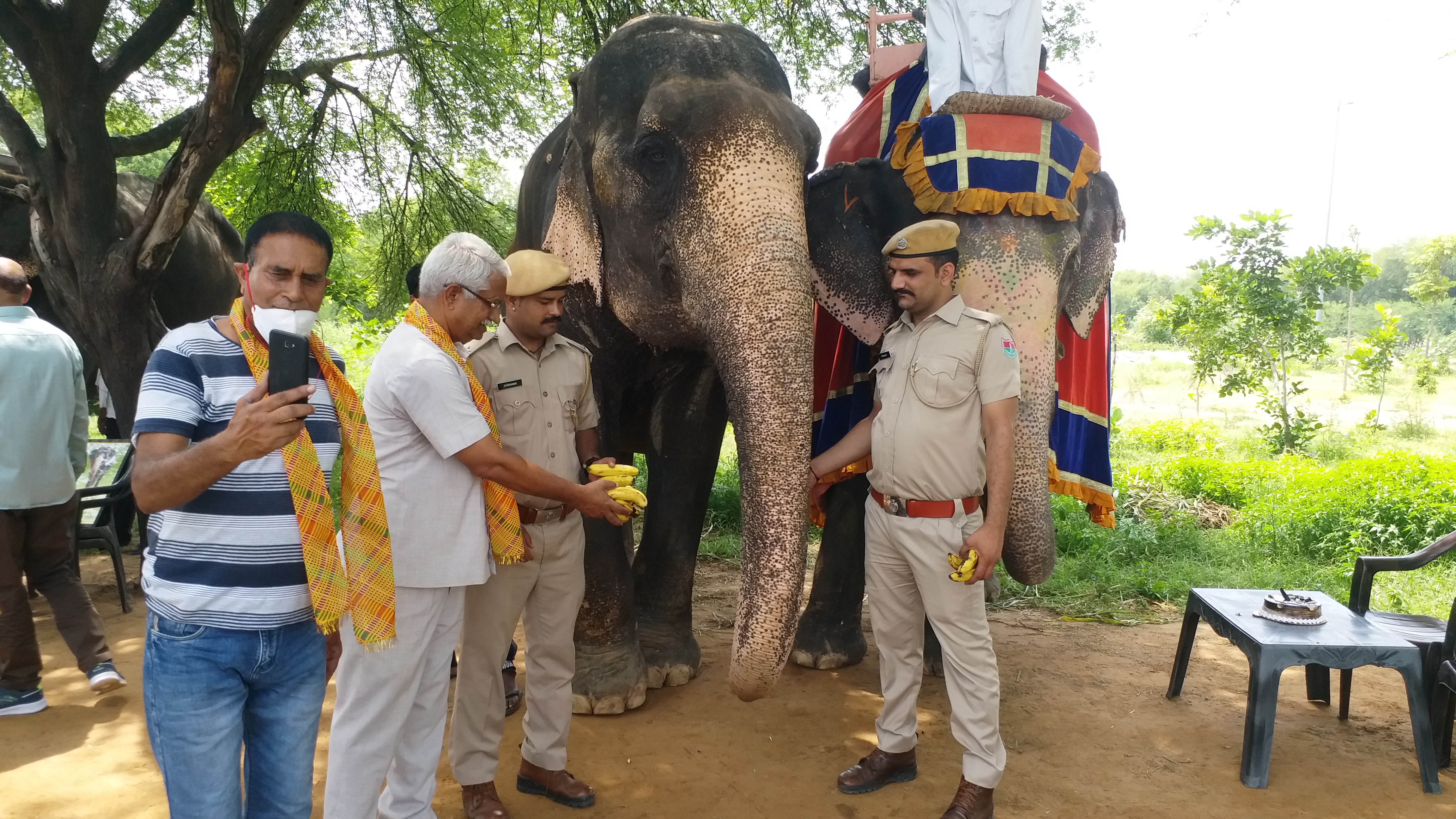 World Elephant Day, विश्व हाथी दिवस