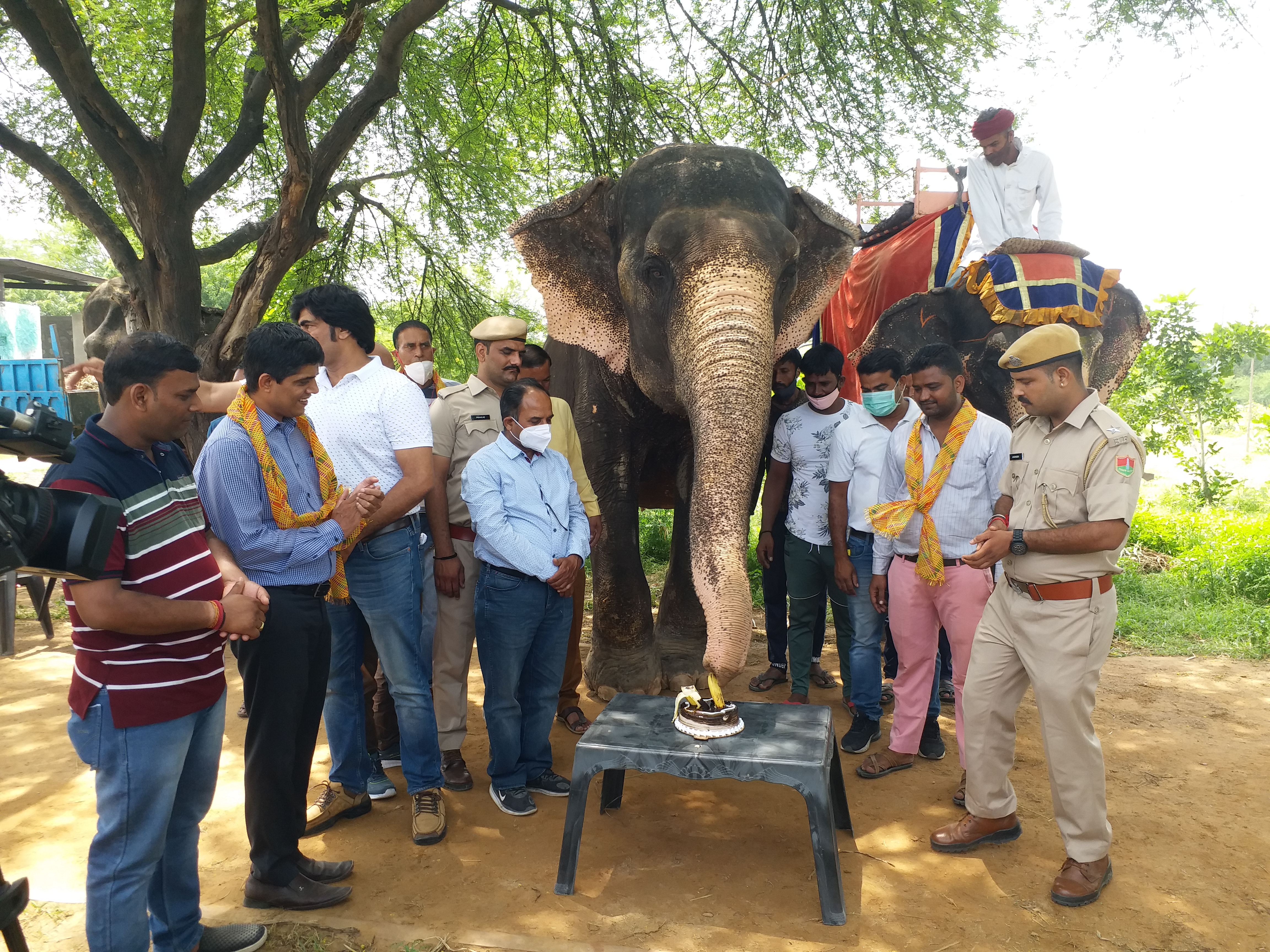 World Elephant Day, विश्व हाथी दिवस