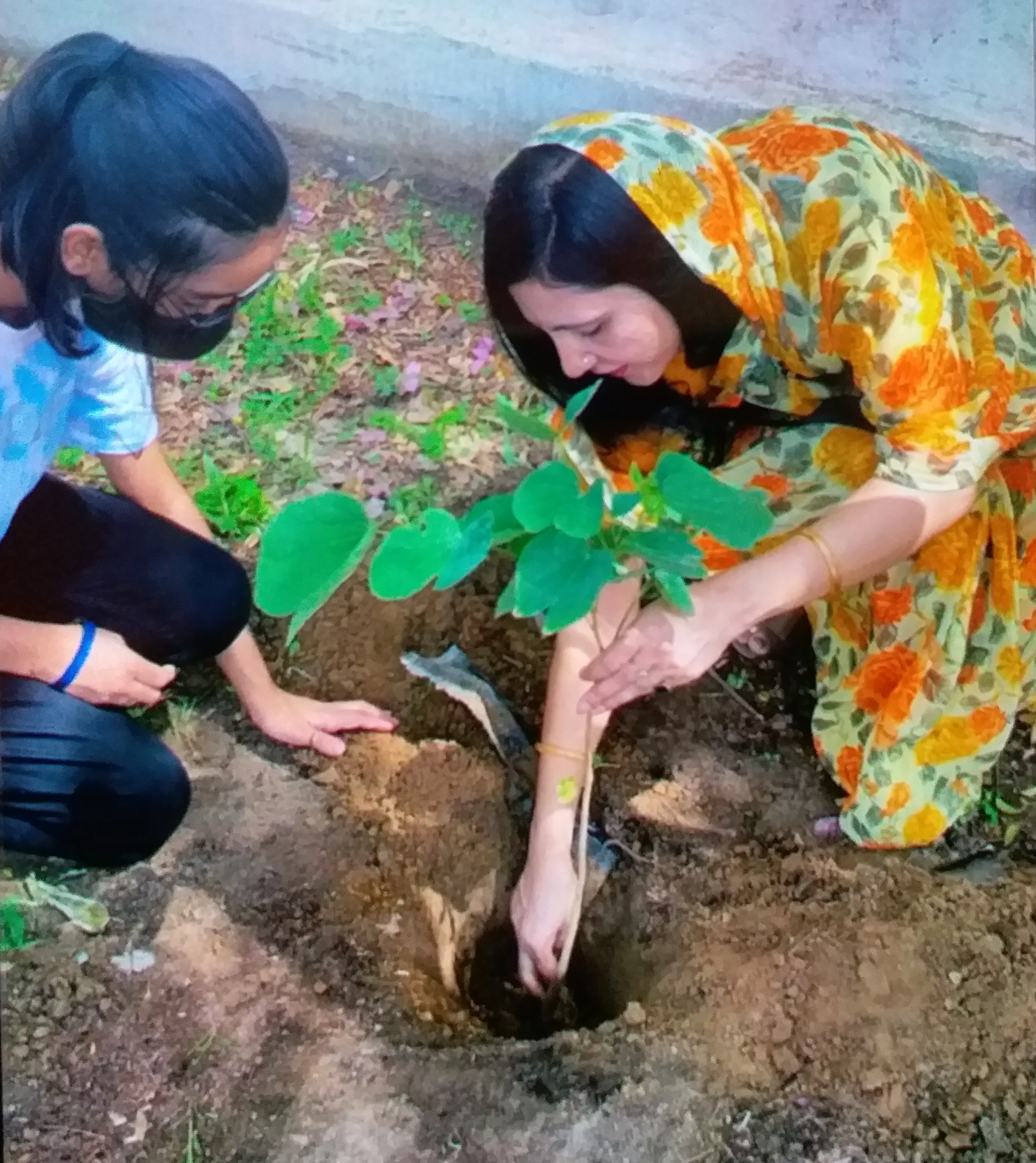 Plantation on Environment Day, Oxygen Park in Amer