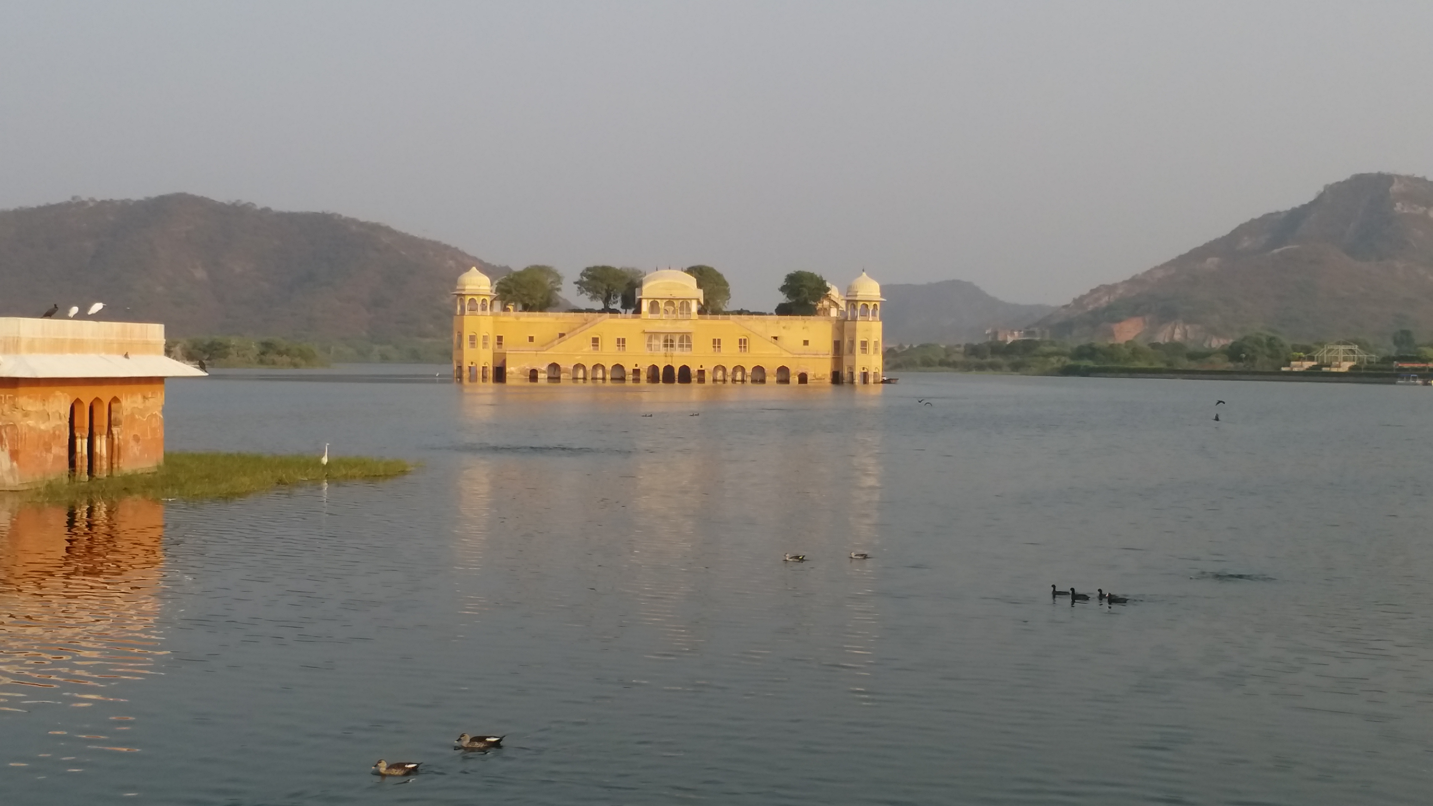 Water Pollution In Jal mahal: ਮਾਨਸਾਗਰ ਝੀਲ ਨੂੰ ਫੈਕਟਰੀਆਂ ਤੇ ਸੀਵਰੇਜ ਦੇ ਪਾਣੀ ਨੇ ਕੀਤਾ ਪ੍ਰਦੂਸ਼ਿਤ, ਸੈਲਾਨੀਆਂ ’ਚ ਭਾਰੀ ਨਿਰਾਸ਼ਾ