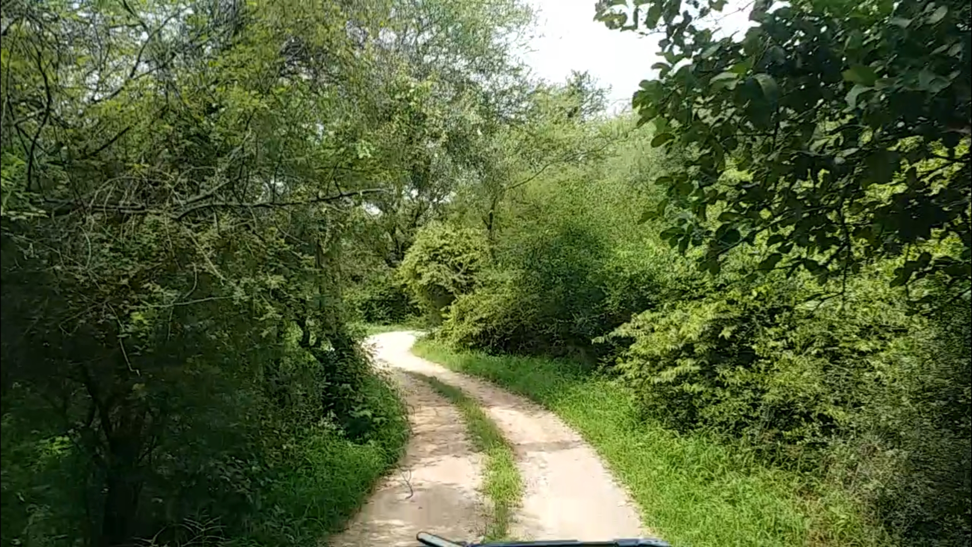 झालाना लेपर्ड सफारी, Jhalana Leopard Safari