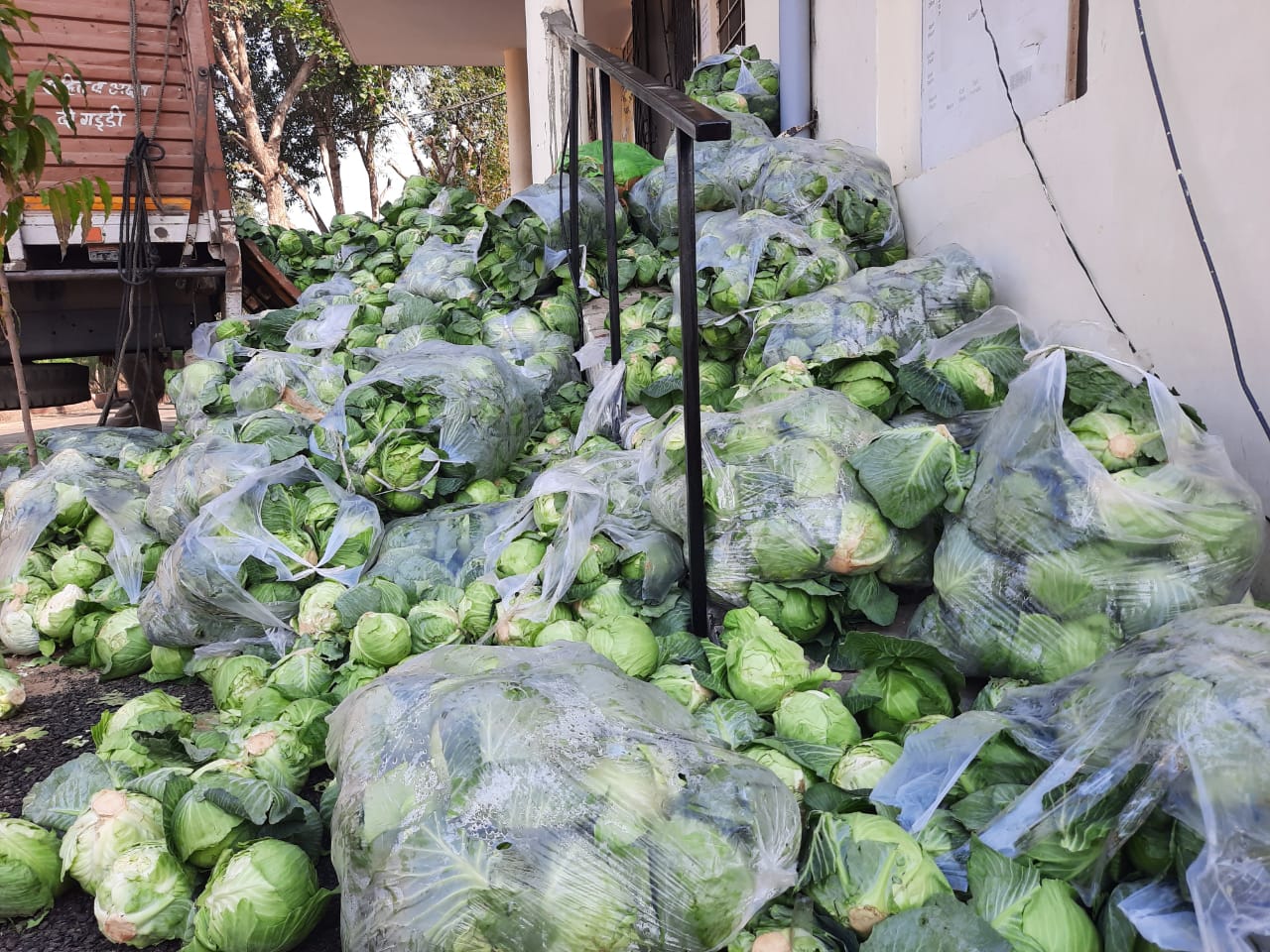 गोभी की आड़ में अवैध शराब तस्करी, Smuggling illegal liquor under cabbage