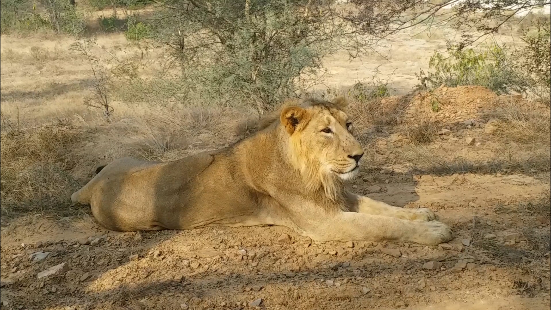 राजस्थान न्यूज, jaipur news