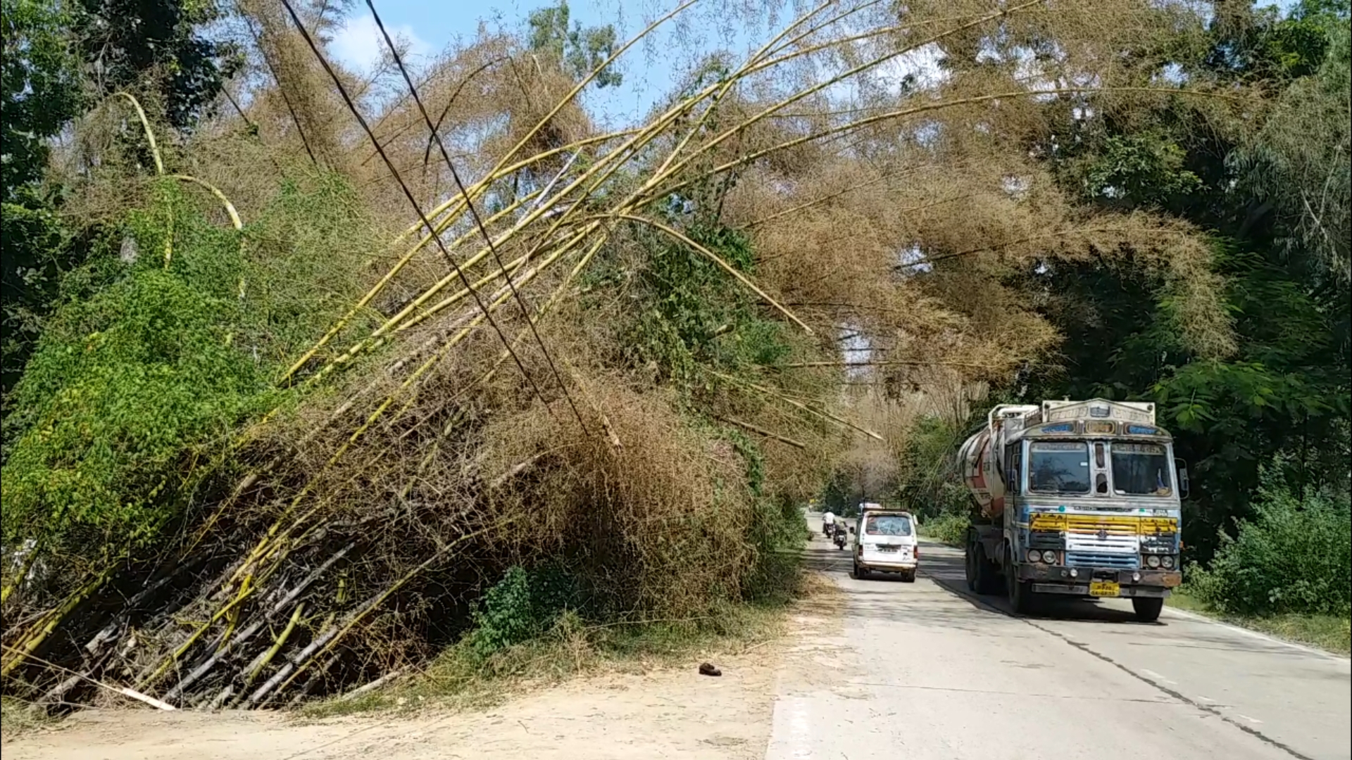 Jheer Nursery Latest News, condition of Jheer nursery of Jhalawar