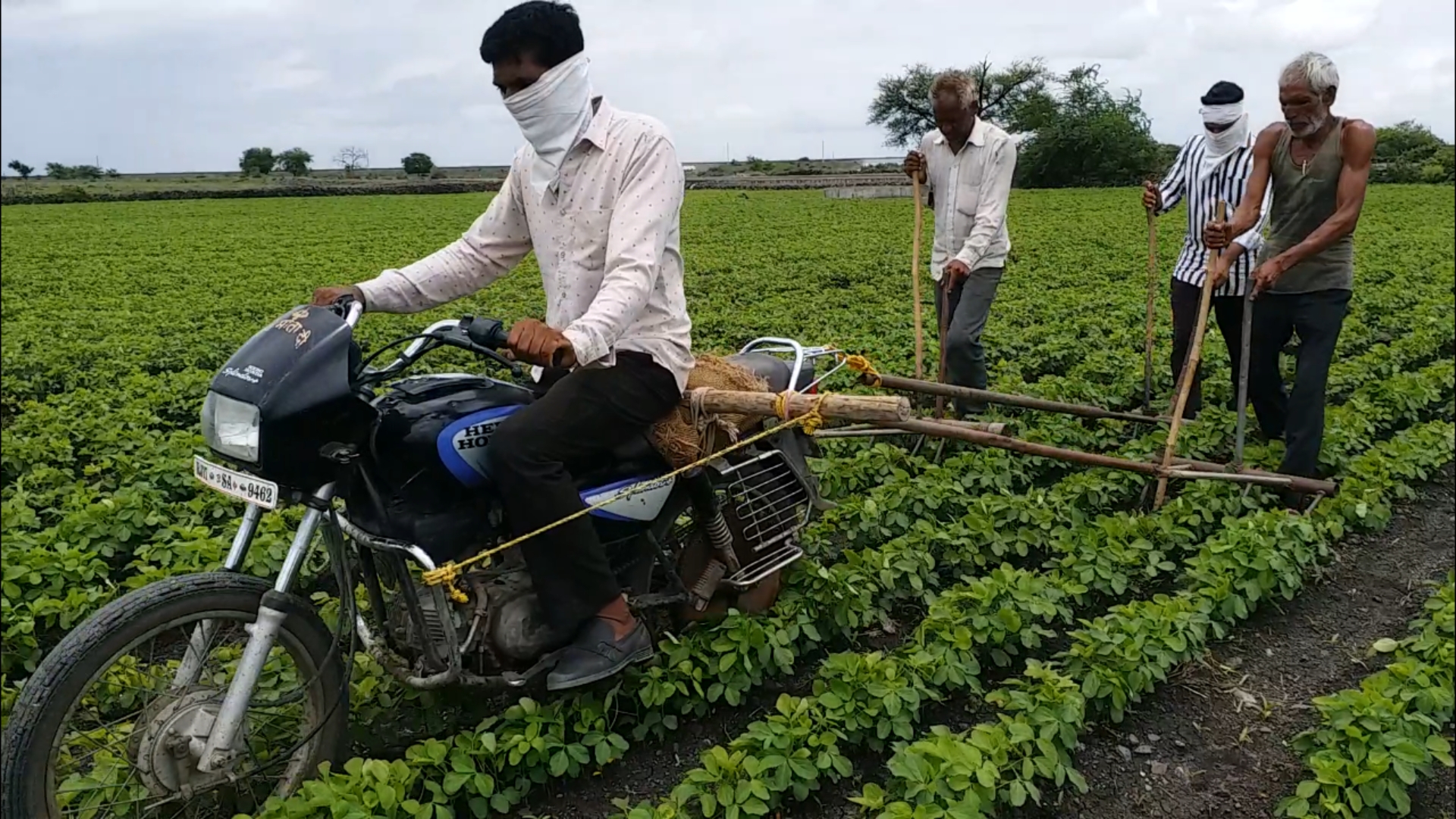 Weed removal from bike, Weed removal Technic