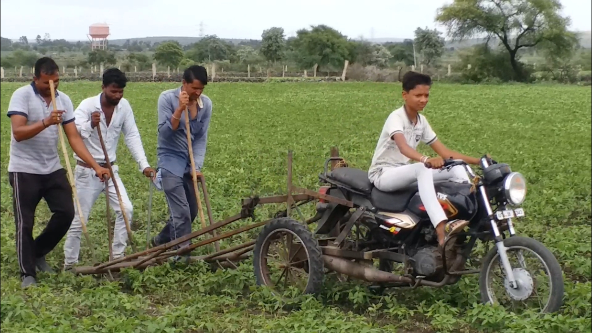 Weed removal from bike, Weed removal Technic