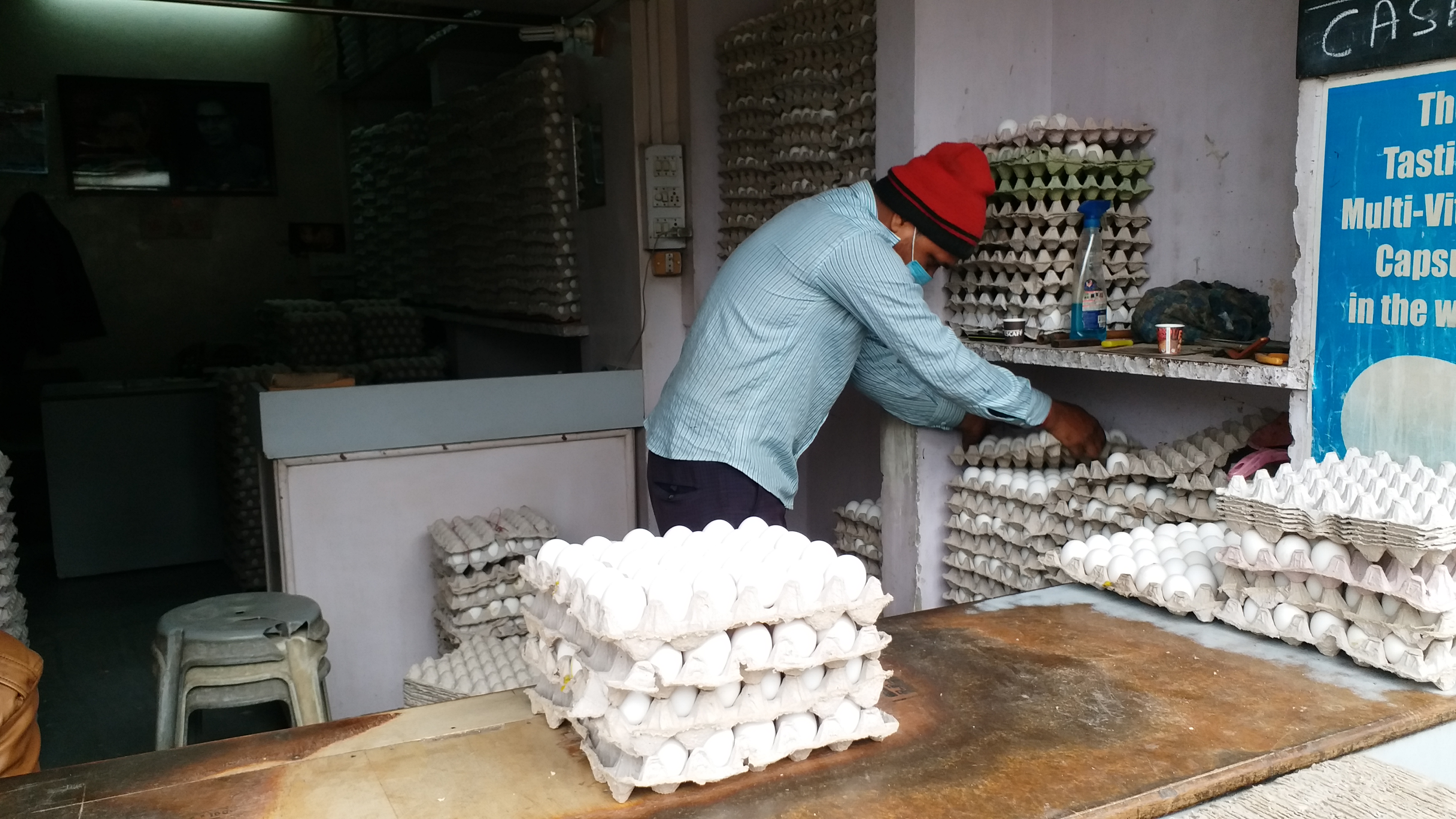 sale of eggs in Kota, bird flu in Kota